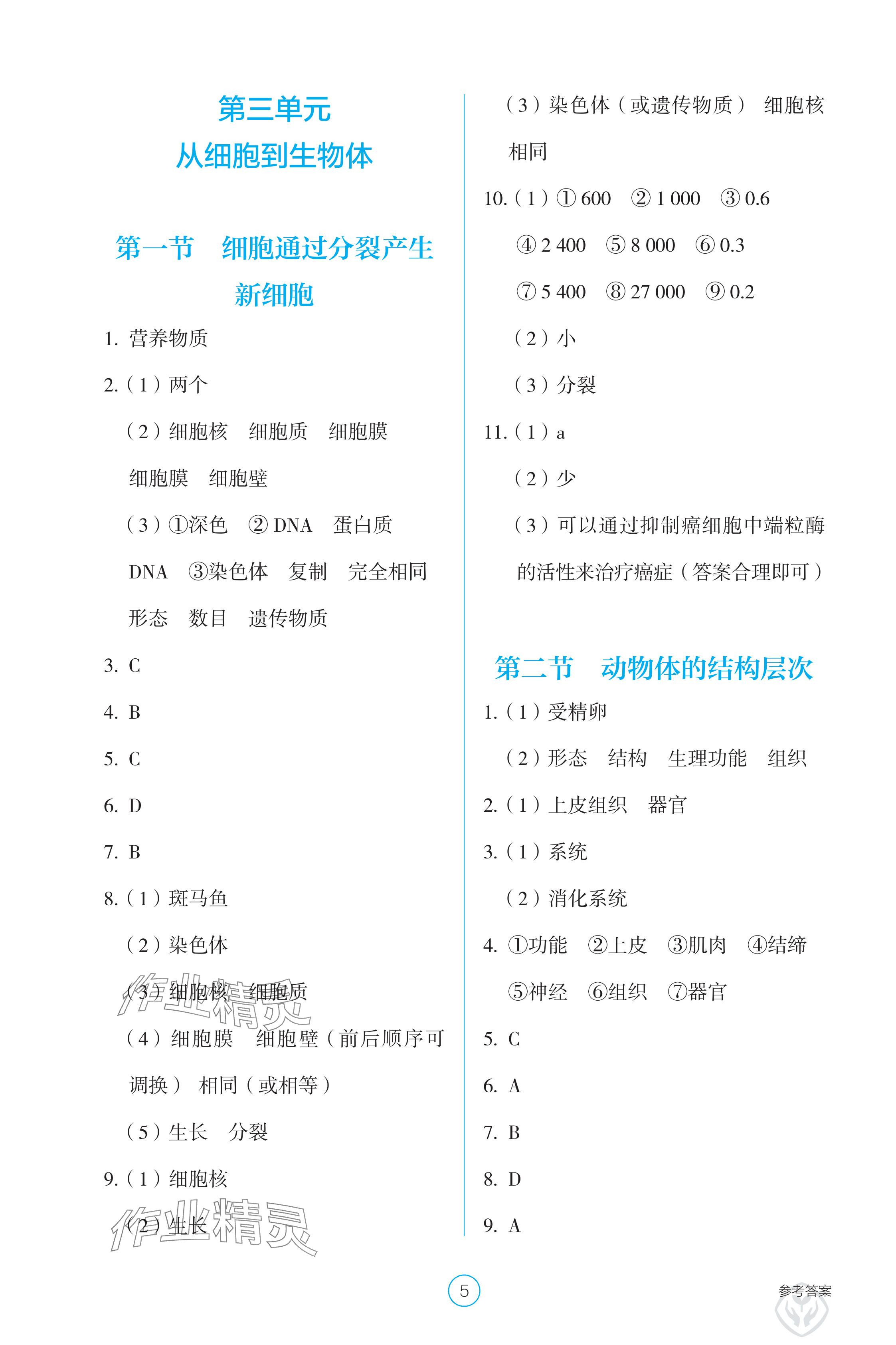 2025年学生基础性作业七年级生物上册人教版 参考答案第5页