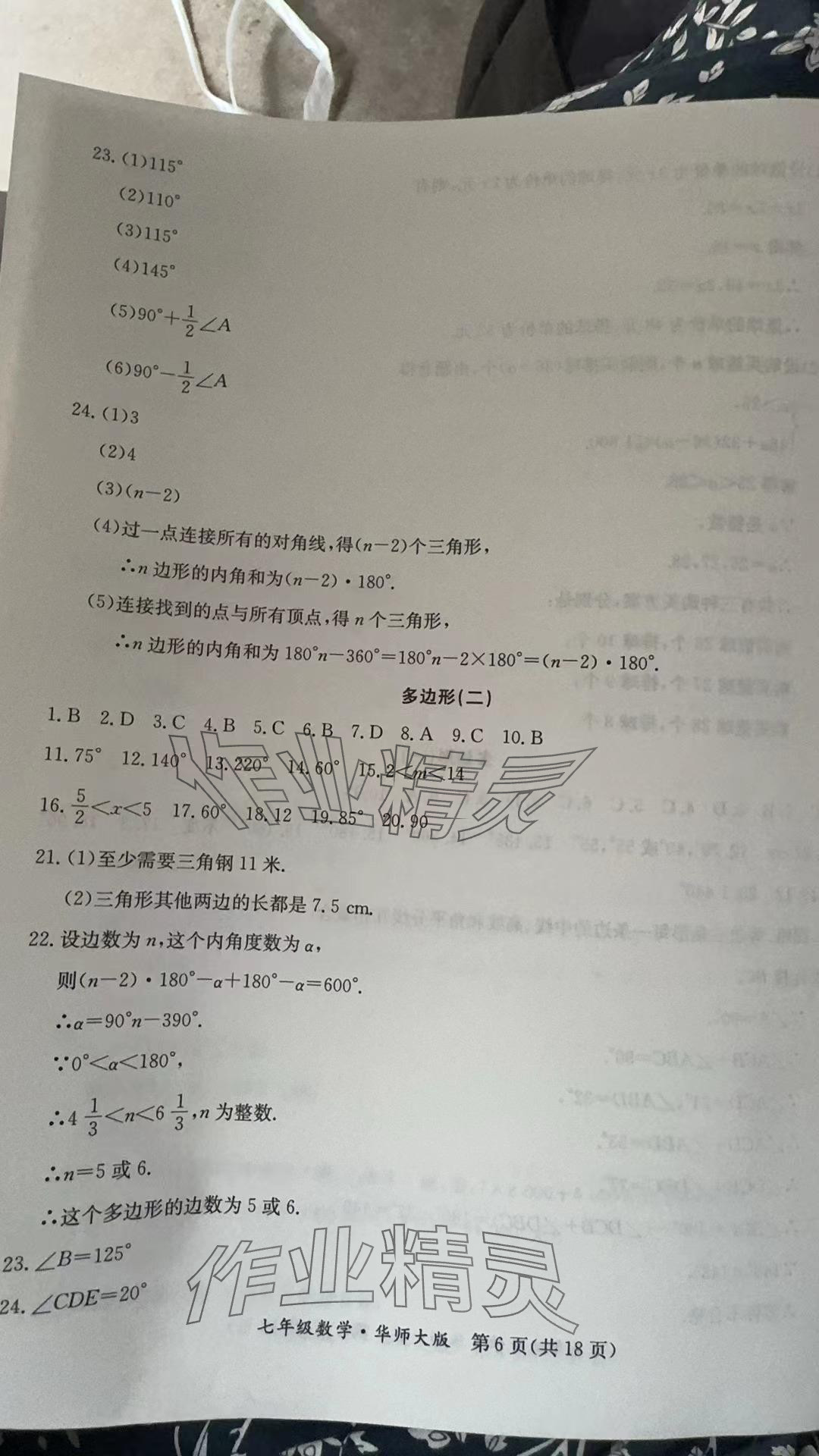 2024年暑假作业延边教育出版社七年级B版数学华师大版英语仁爱版河南专版 参考答案第6页