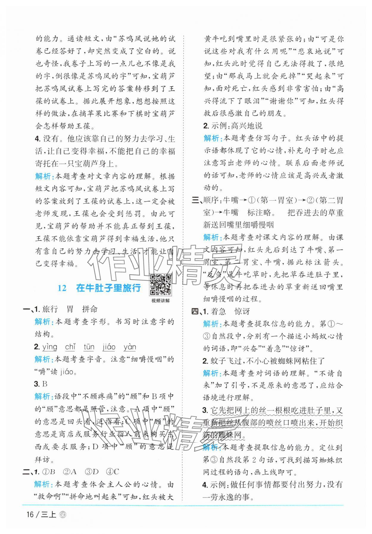 2025年阳光同学课时优化作业三年级语文上册人教版广东专版&nbsp;第16页