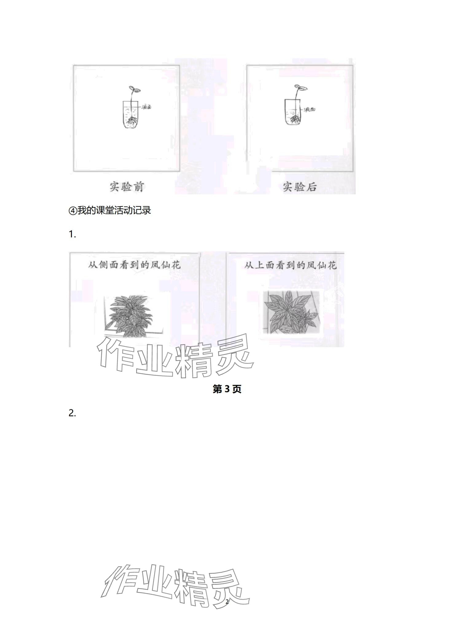 2024年學(xué)生活動手冊四年級科學(xué)下冊通用版 第2頁