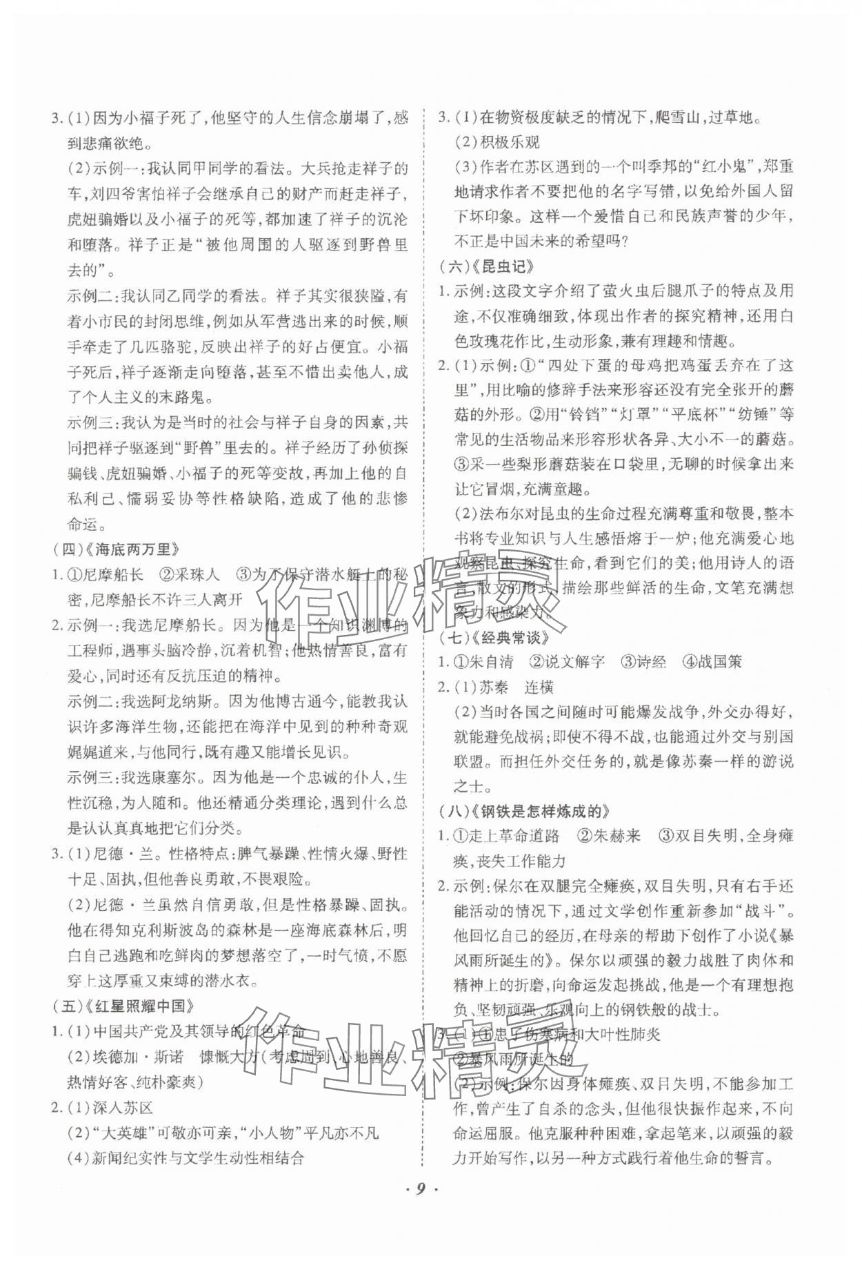 2024年本土攻略精準(zhǔn)復(fù)習(xí)方案語文云南專版 參考答案第9頁