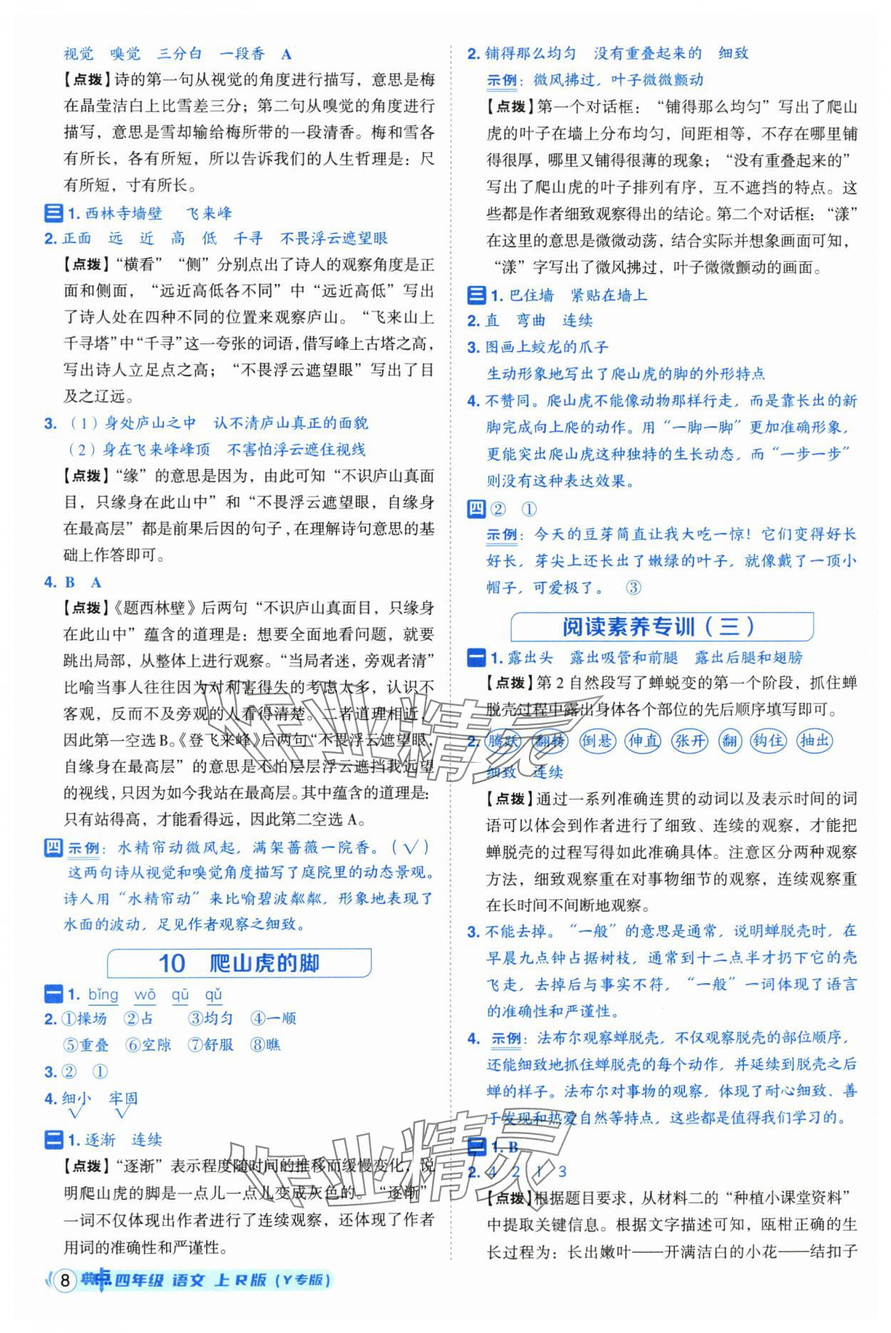 2025年綜合應(yīng)用創(chuàng)新題典中點(diǎn)四年級(jí)語文上冊(cè)人教版（Y專版）寧夏專版 第8頁(yè)