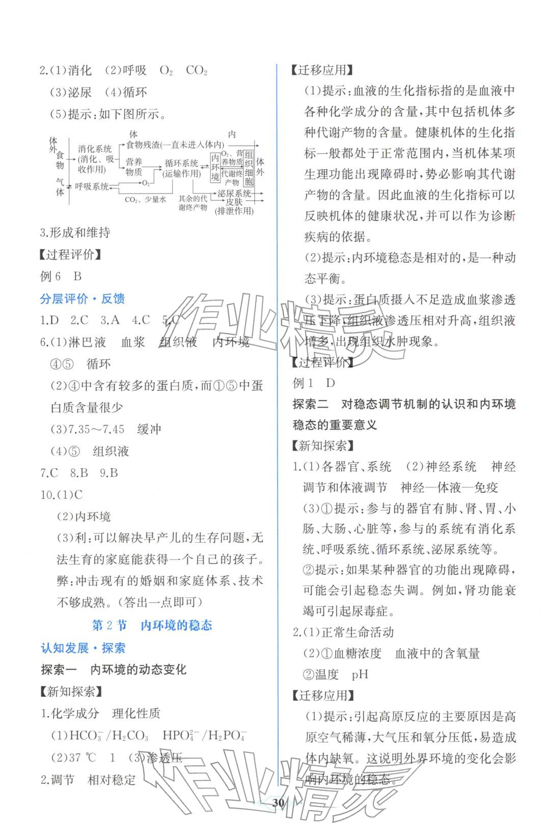 2025年同步解析与测评课时练人民教育出版社高中生物选择性必修第一册人教版浙江专版&nbsp;第2页