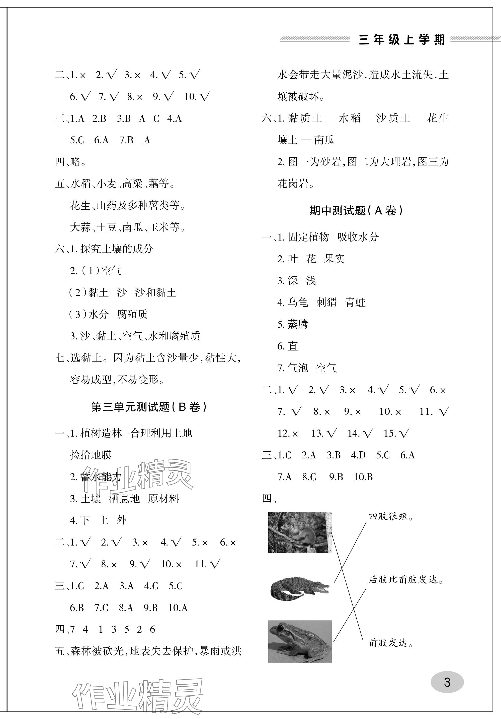 2023年單元自測(cè)試卷青島出版社三年級(jí)科學(xué)上冊(cè)青島版 參考答案第3頁(yè)