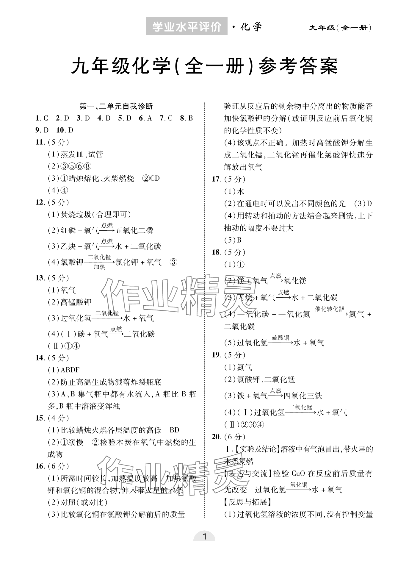 2023年學(xué)業(yè)水平評價(jià)同步檢測卷九年級化學(xué)全一冊人教版 參考答案第1頁