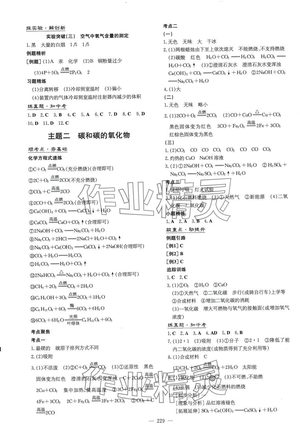 2024年初中總復習練案化學山東專版 第5頁
