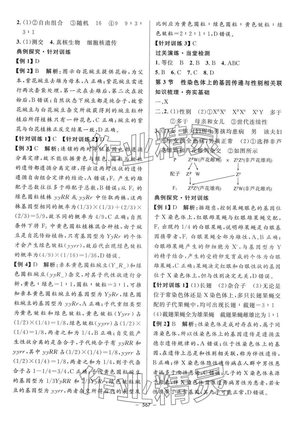 2024年鐘書金牌金典導(dǎo)學(xué)案高中生物滬教版上海專版 第13頁