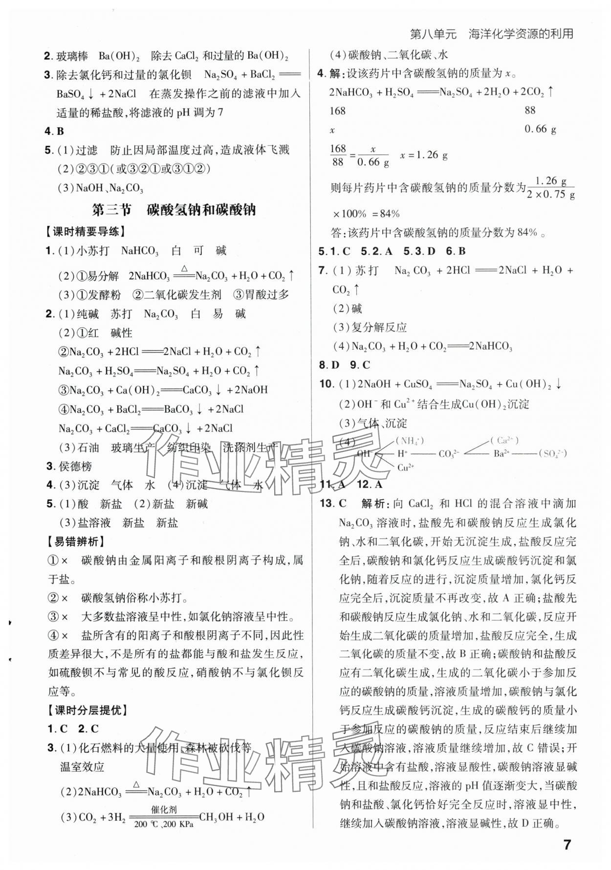 2025年考出好成绩九年级化学下册鲁教版山东专版 第7页
