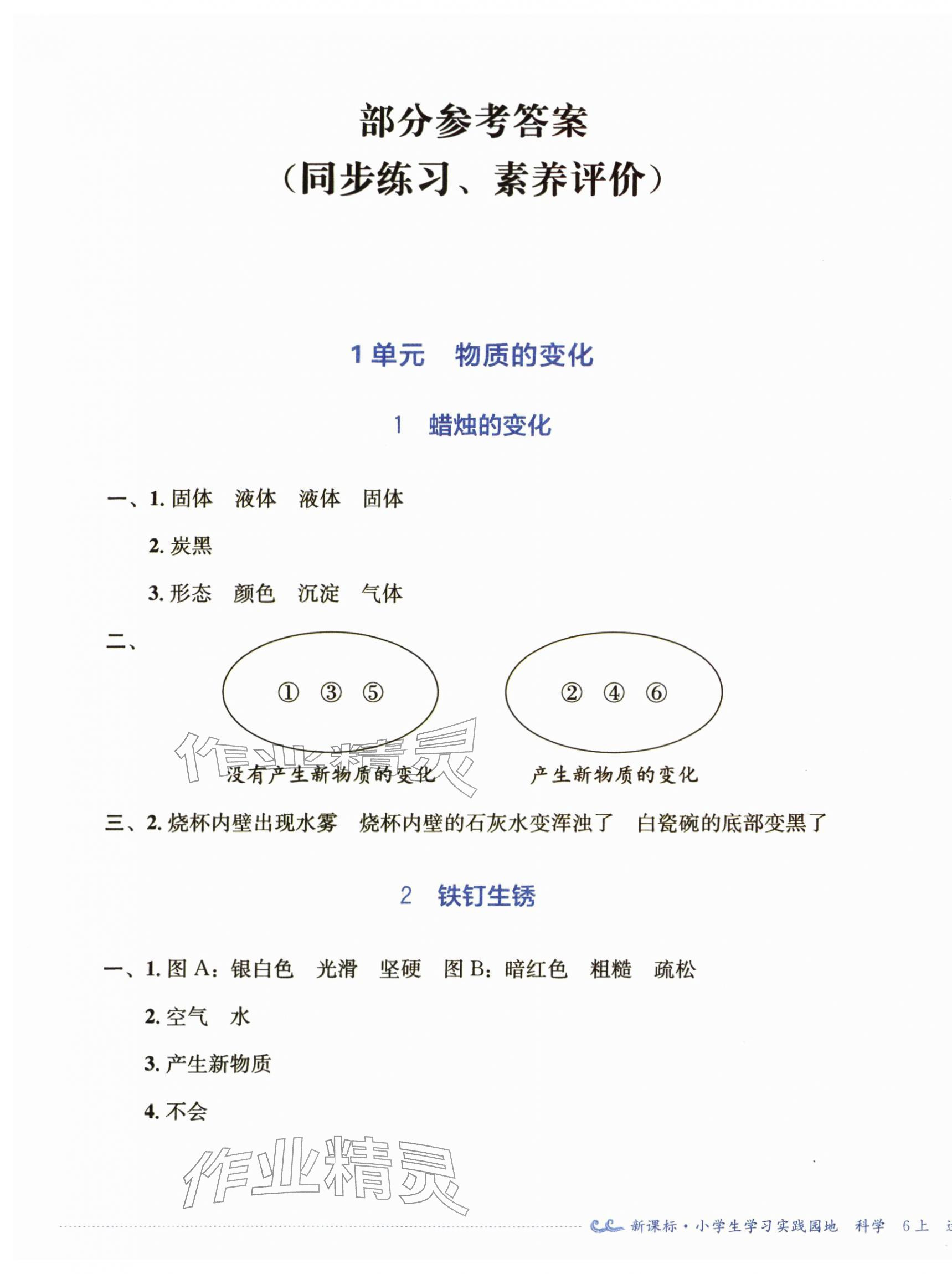2025年学习实践园地六年级科学上册苏教版 第1页
