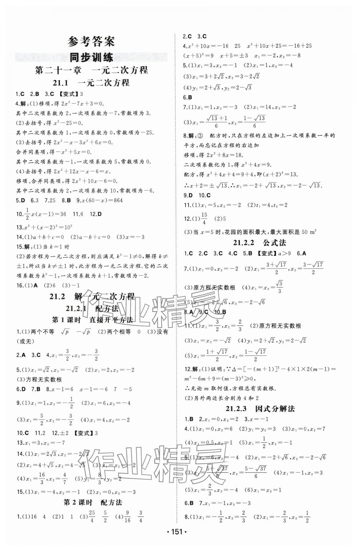2025年一本九年级数学上册人教版安徽专版 第1页