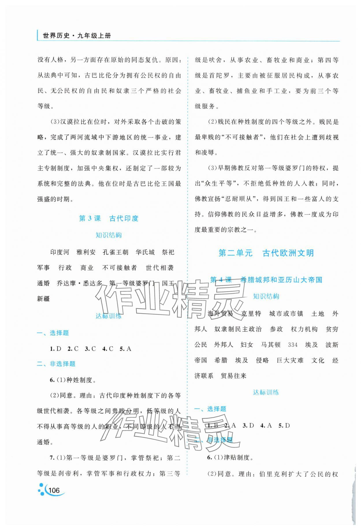 2025年新课程复习与提高九年级历史上册人教版 第2页