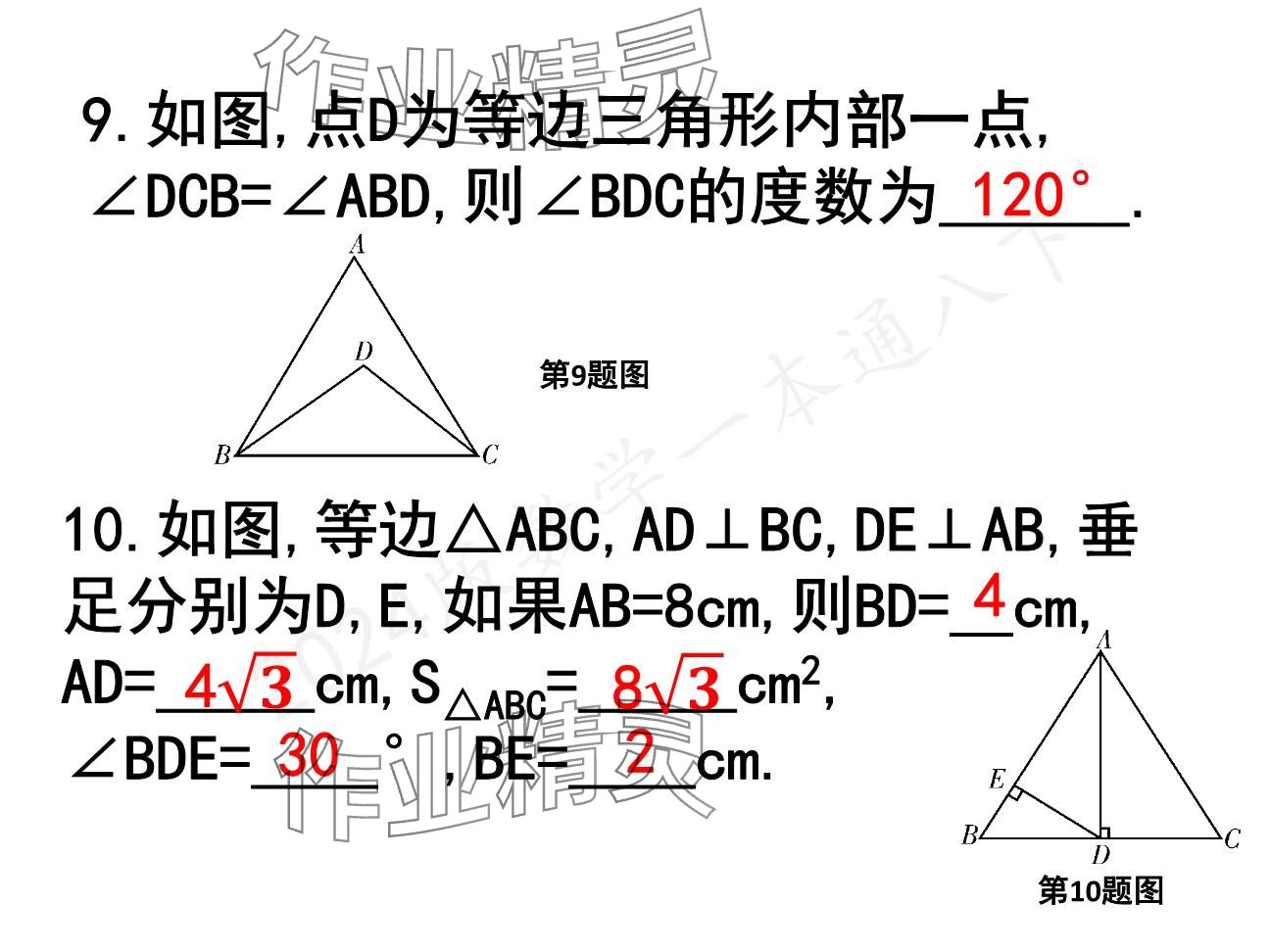 2025年一本通武漢出版社八年級數(shù)學下冊北師大版精簡版 參考答案第19頁