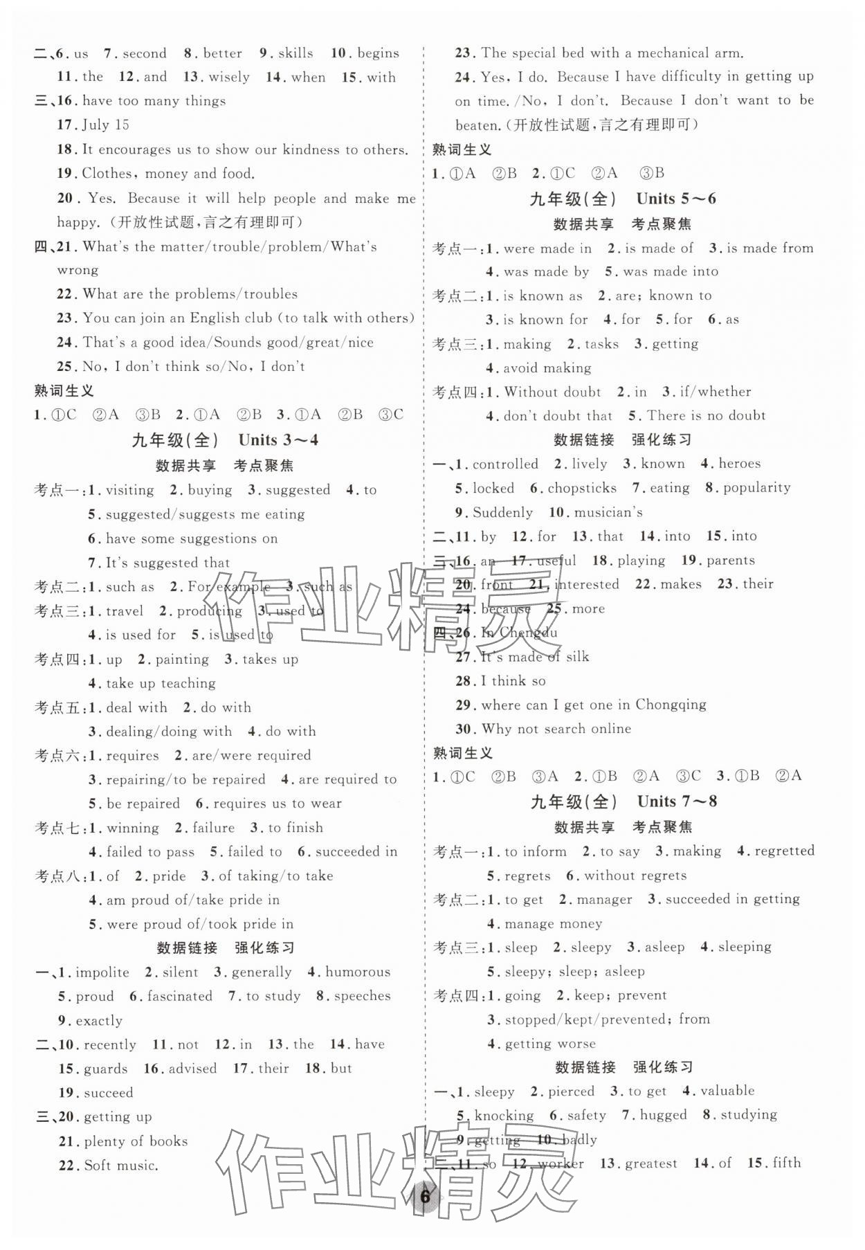 2025年中考大數(shù)據(jù)英語中考河北專版&nbsp;參考答案第6頁