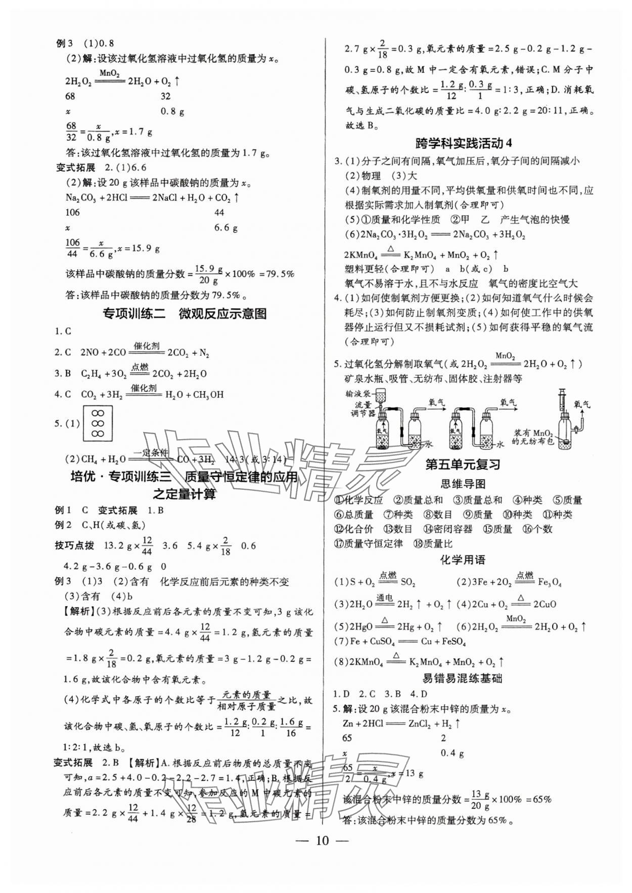 2025年領(lǐng)跑作業(yè)本九年級化學(xué)全一冊人教版廣東專版 第10頁