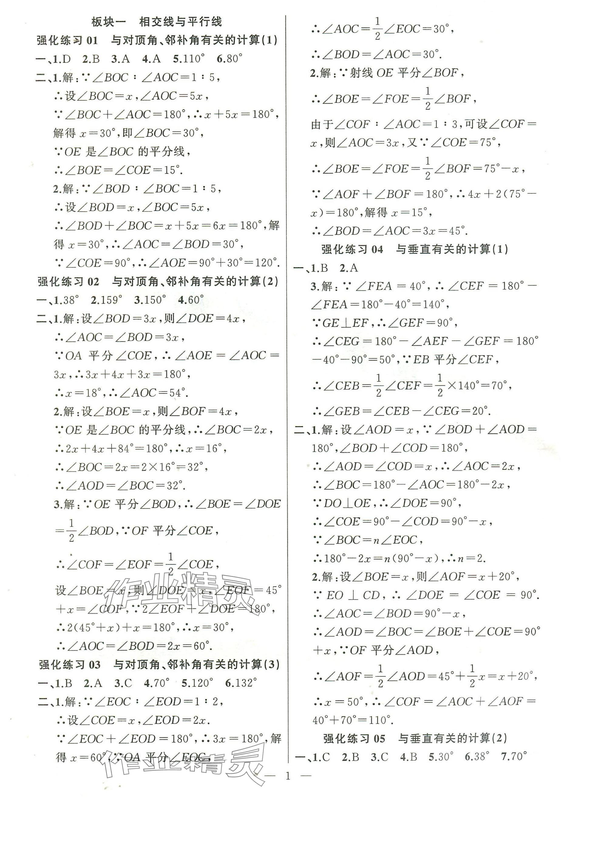 2025年高手點題計算攻略七年級數學下冊人教版 參考答案第1頁