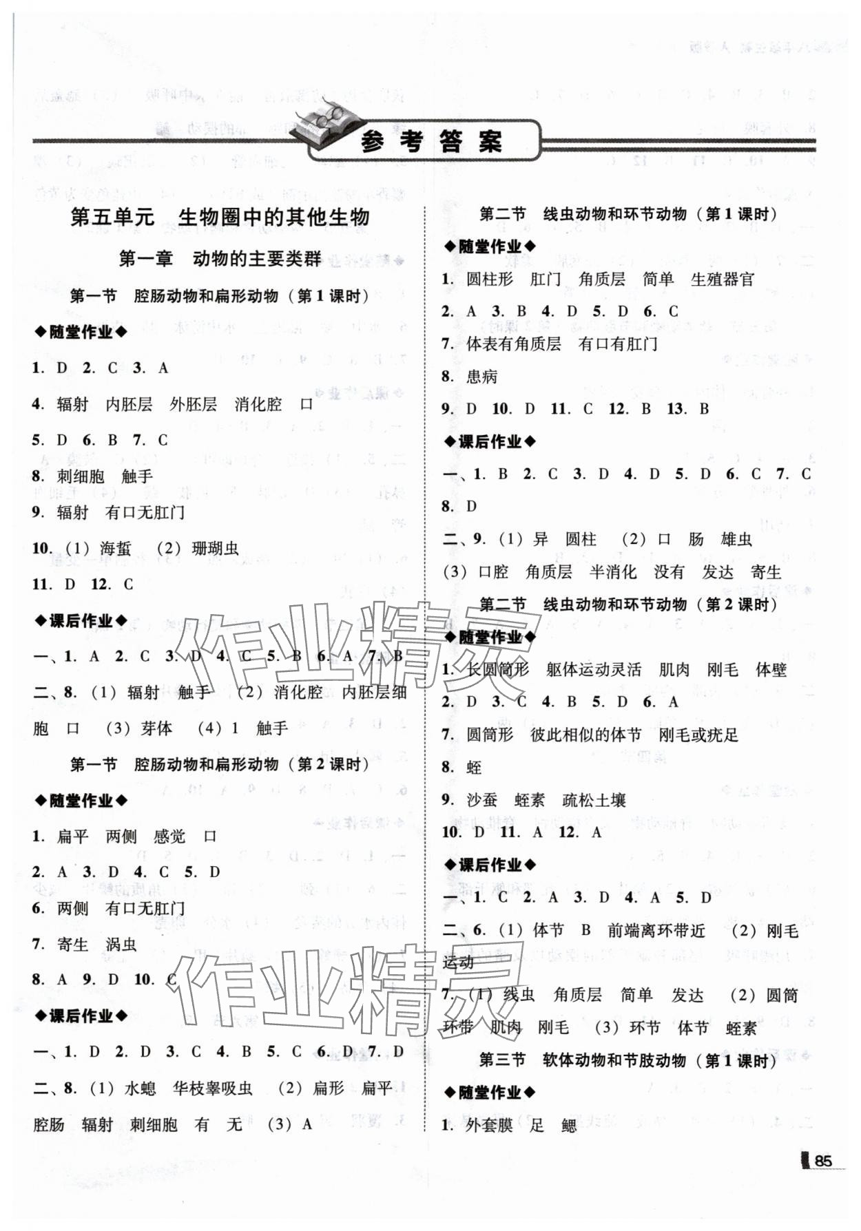 2024年遼寧作業(yè)分層培優(yōu)學(xué)案八年級(jí)生物上冊(cè)人教版 第1頁