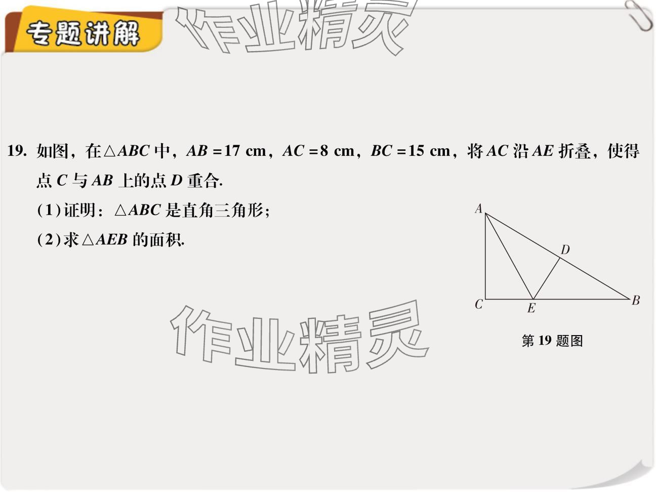 2024年复习直通车期末复习与假期作业八年级数学北师大版 参考答案第19页