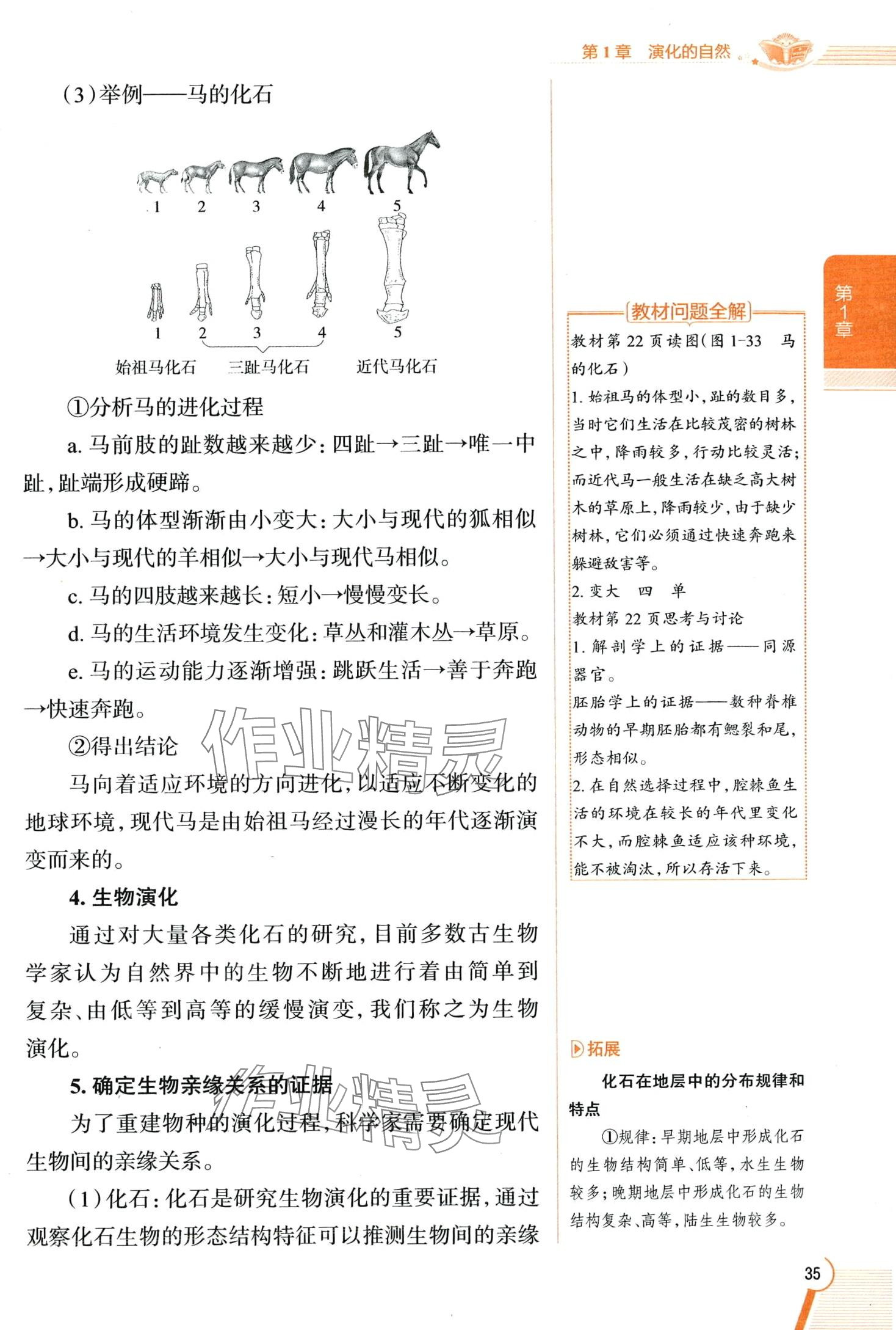 2024年教材全解九年級科學下冊浙教版 第35頁