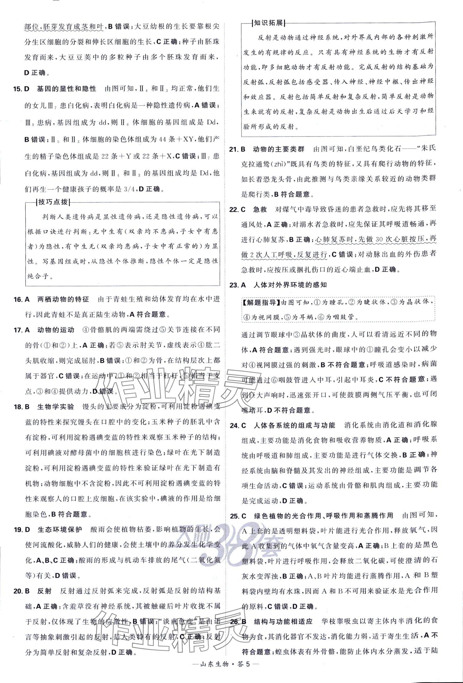 2024年天利38套中考试题精选生物中考山东专版 第5页