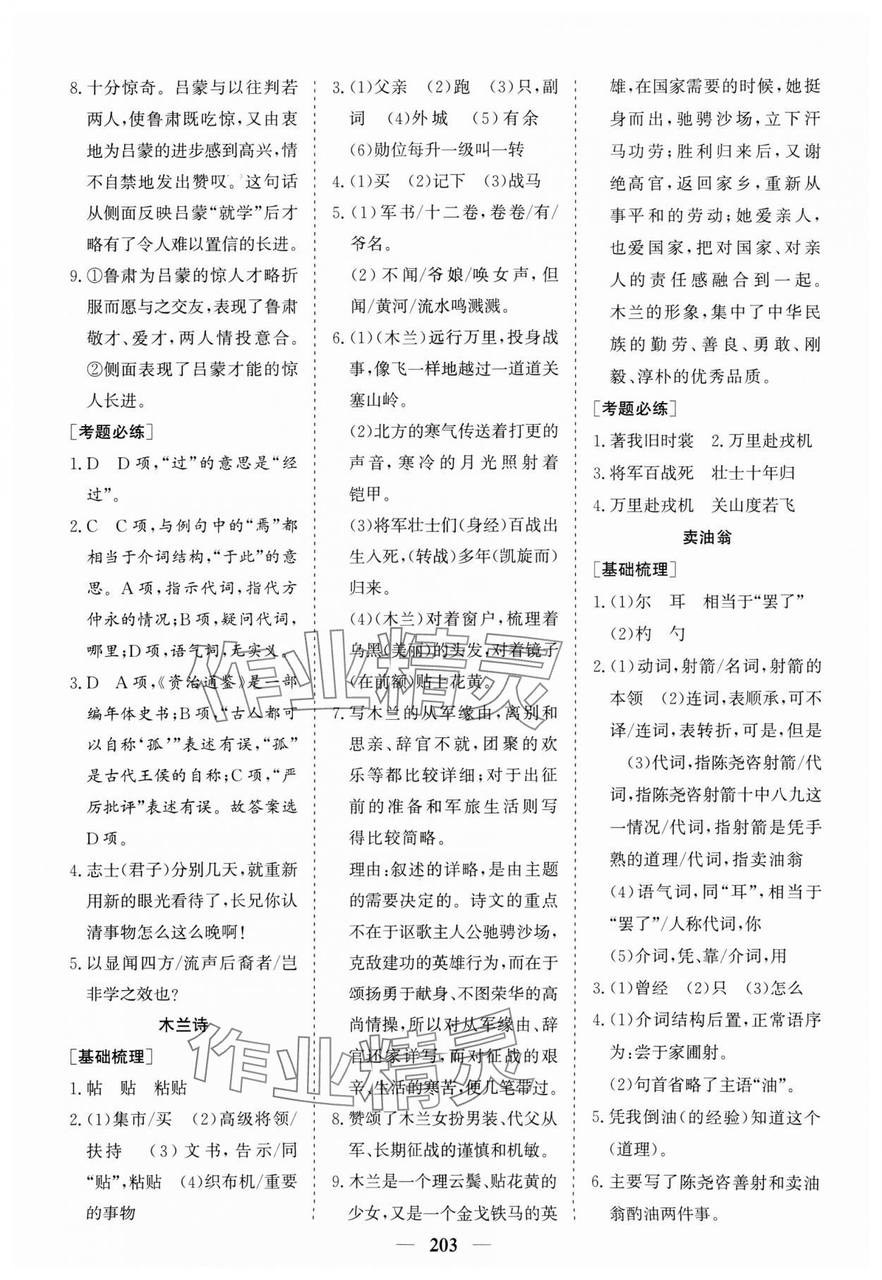 2024年點(diǎn)金考案語(yǔ)文 第5頁(yè)