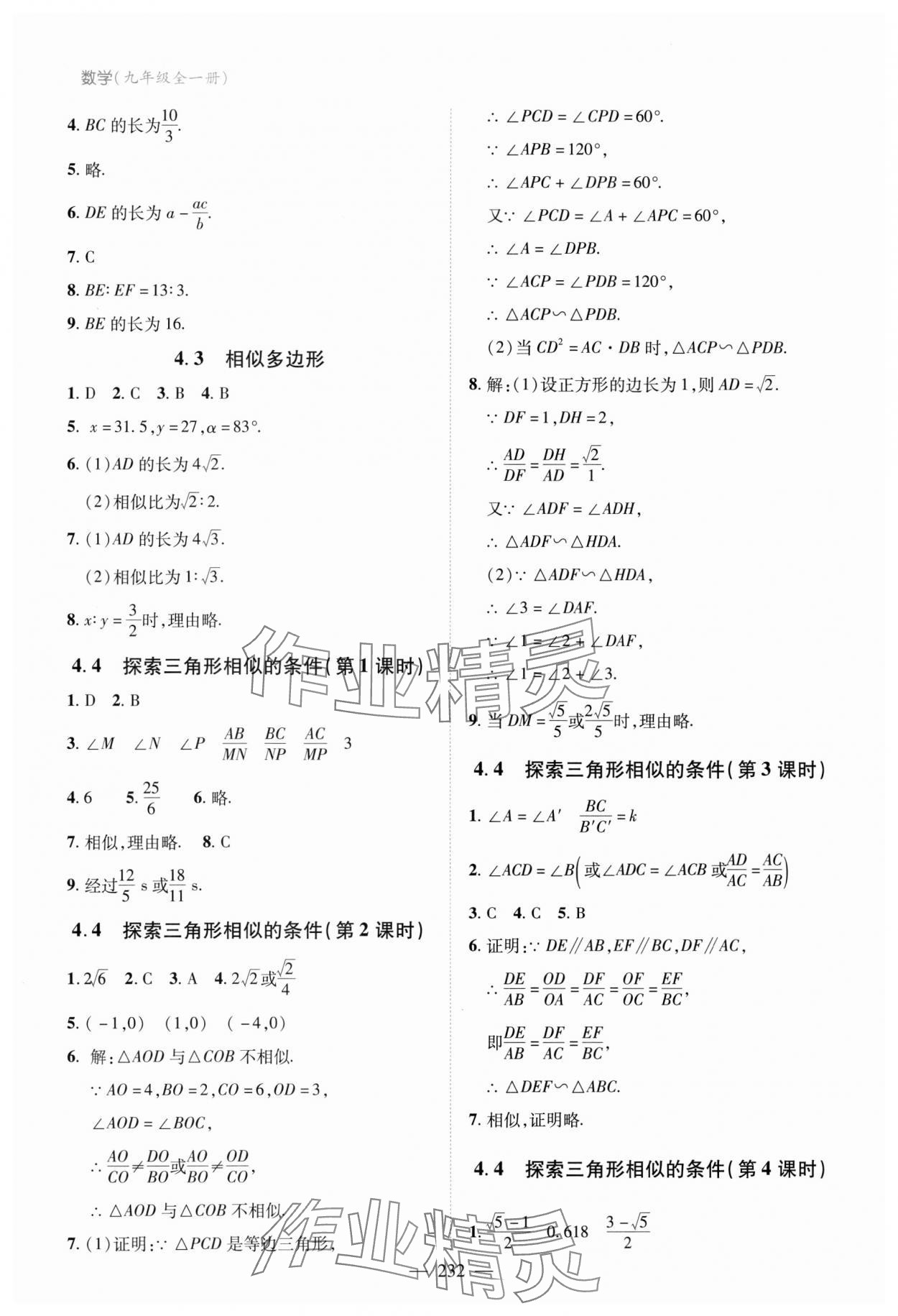 2023年新課堂學習與探究九年級數學全一冊北師大版 第12頁