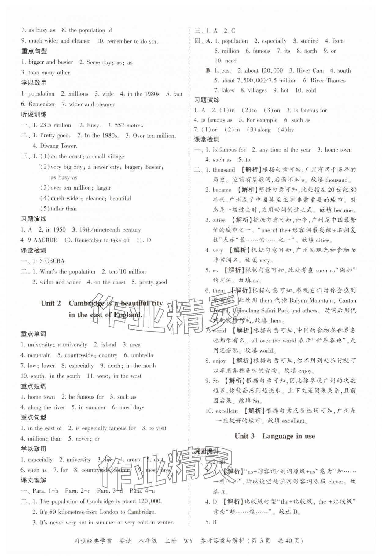 2024年同步經(jīng)典學(xué)案八年級英語上冊外研版 第3頁