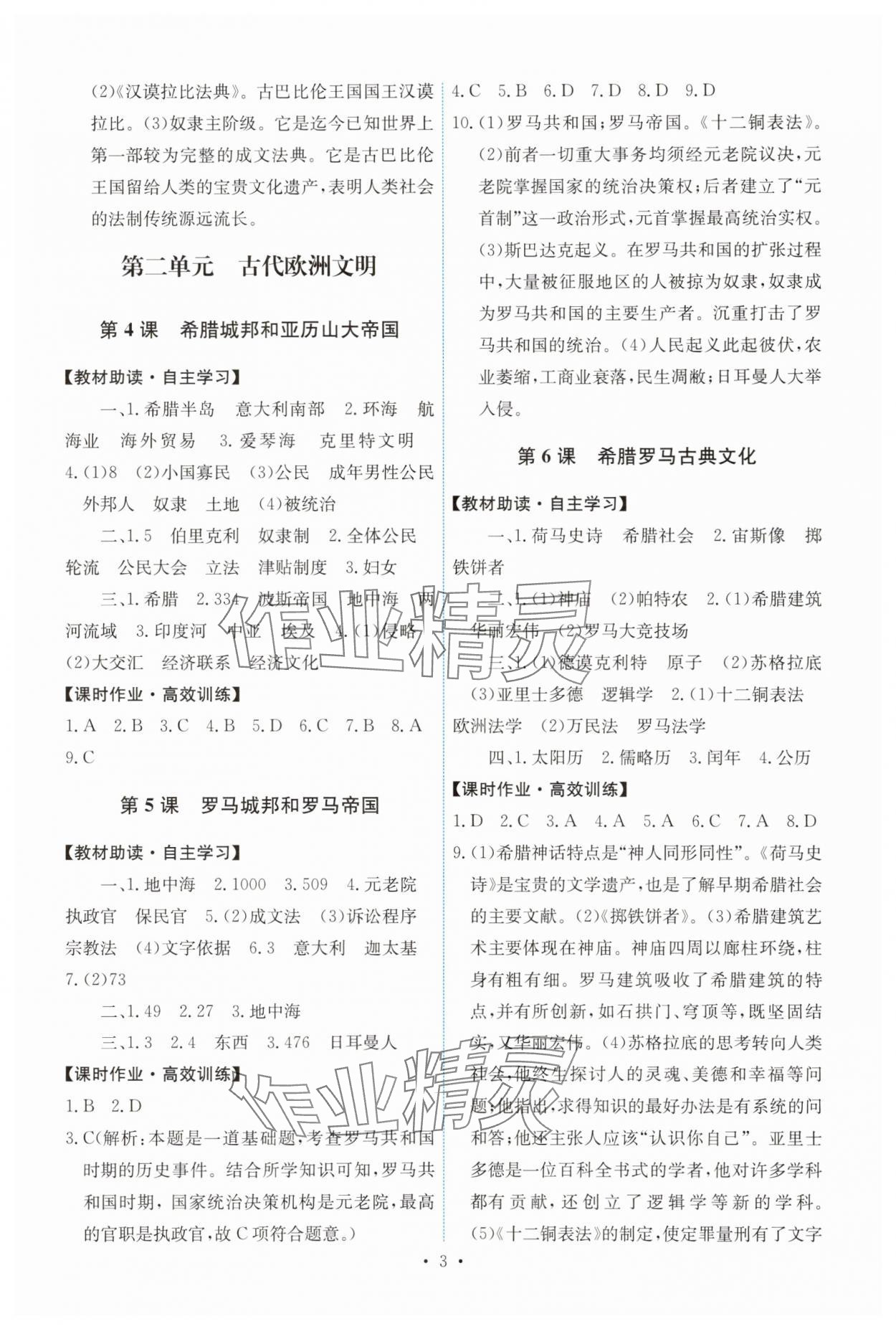 2025年能力培养与测试九年级历史上册人教版 第3页