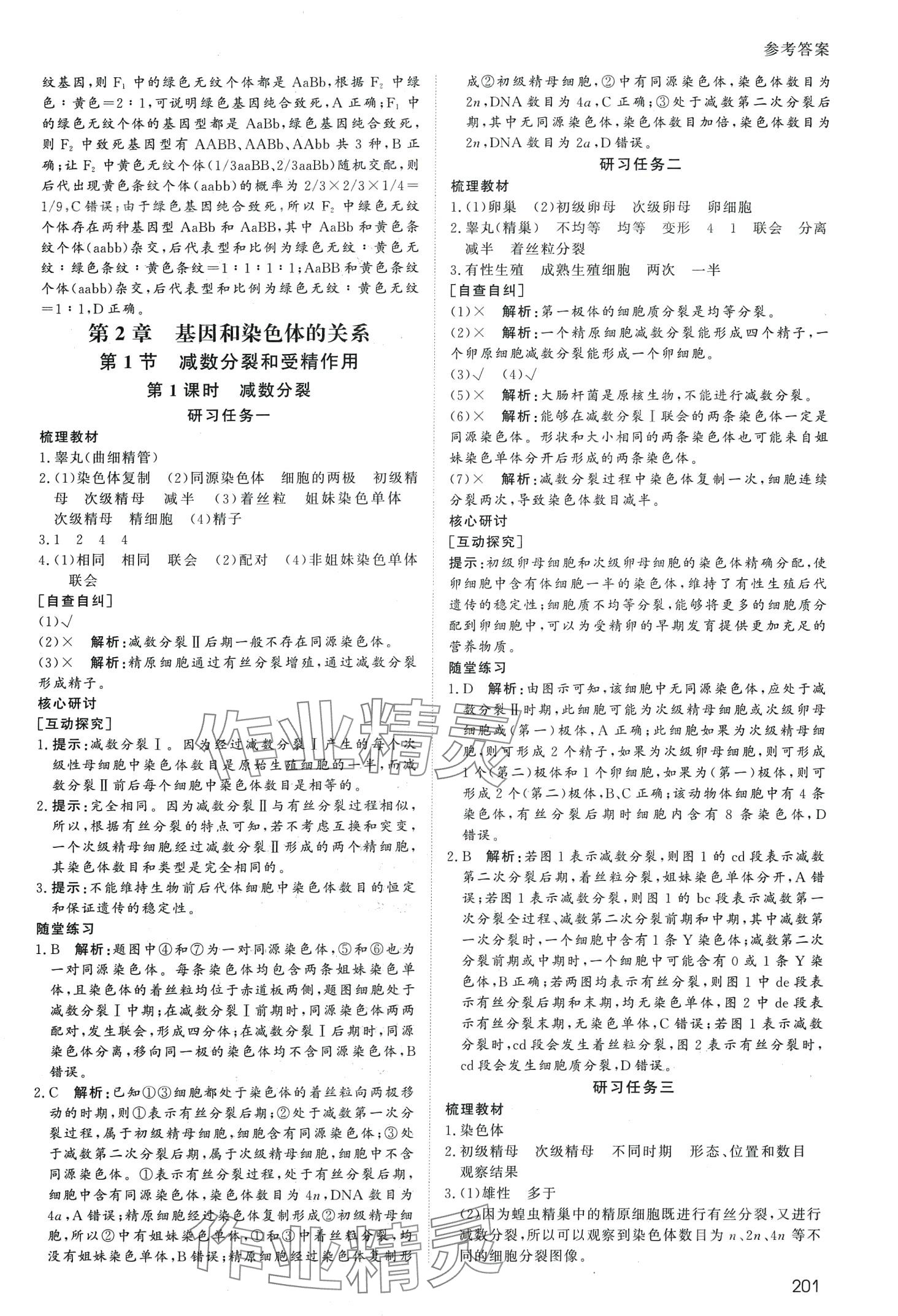 2024年名師伴你行高中同步導(dǎo)學(xué)案高中生物必修2人教版 第6頁