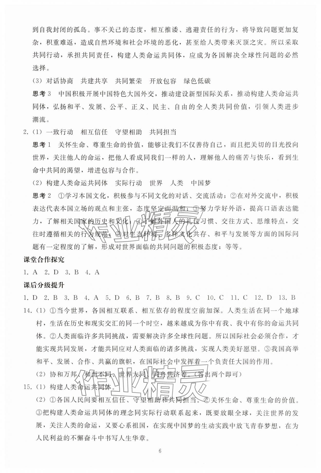 2025年同步轻松练习九年级道德与法治下册人教版 参考答案第5页