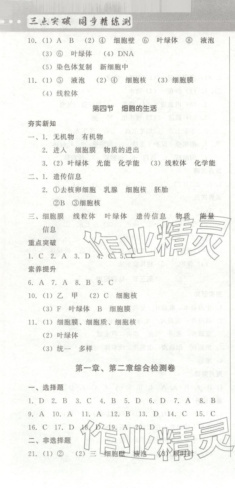 2025年三點突破同步精練測七年級生物全一冊人教版&nbsp;第4頁