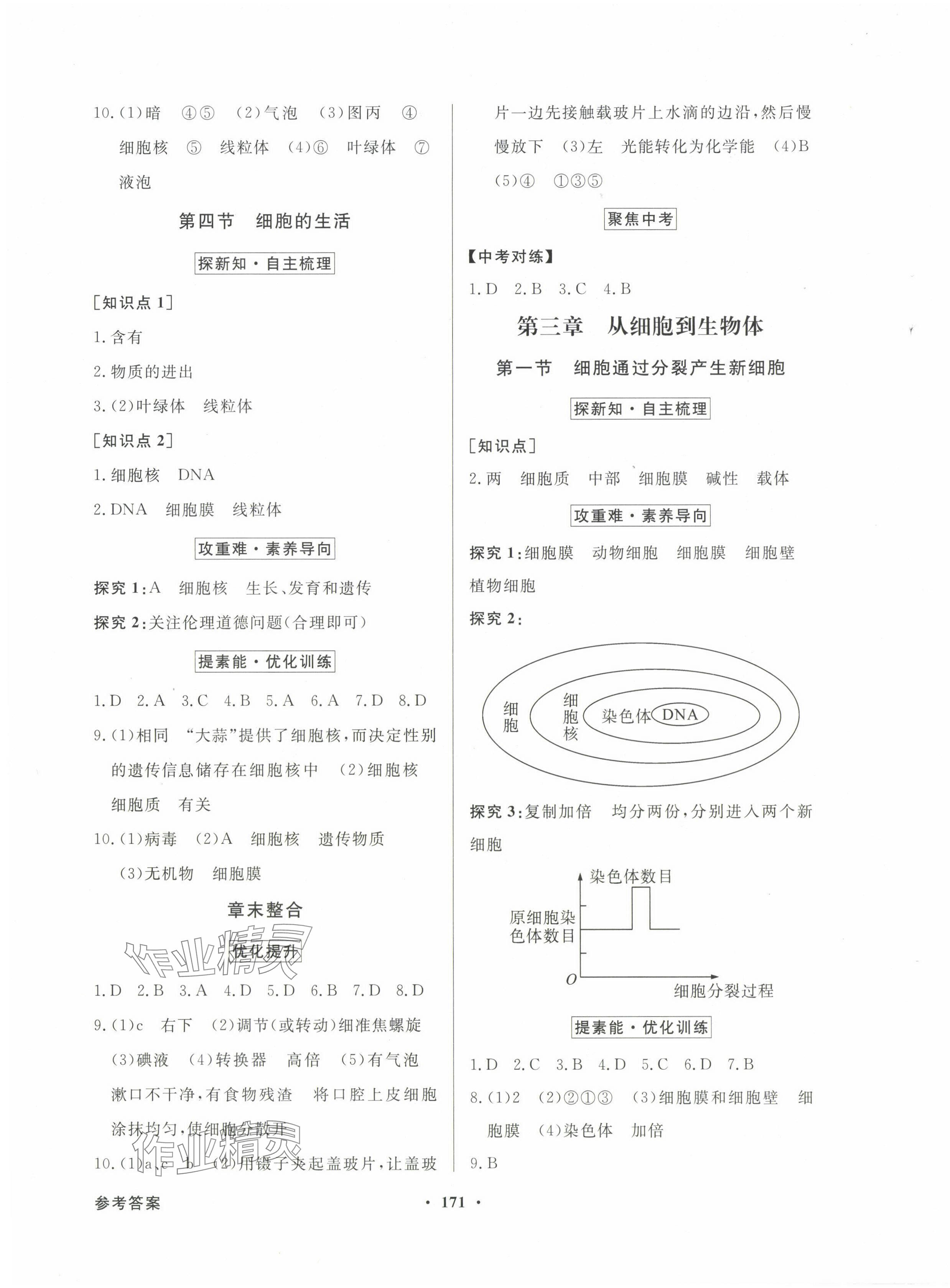 2024年同步导学与优化训练七年级生物上册人教版 第3页