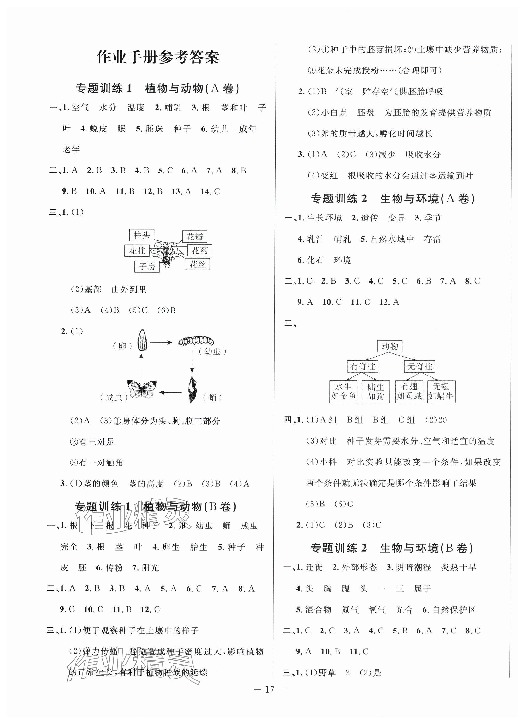 2025年小考直通車科學 第1頁