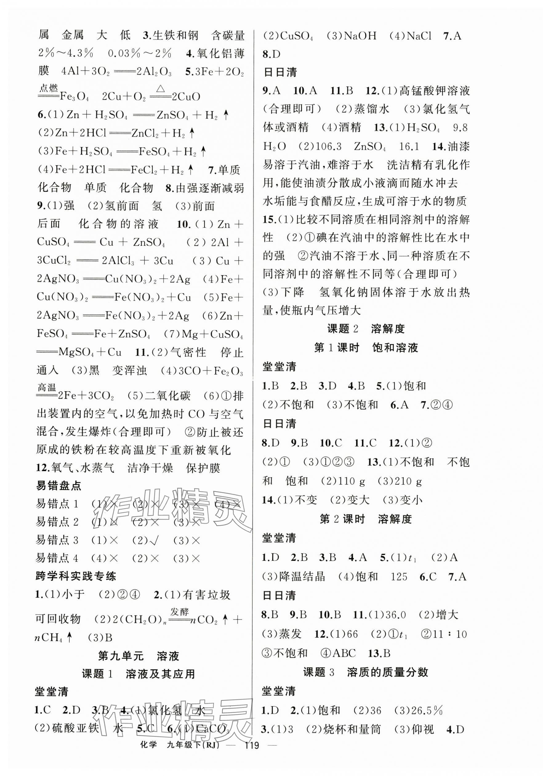 2025年四清導航九年級化學下冊人教版河南專版 第3頁