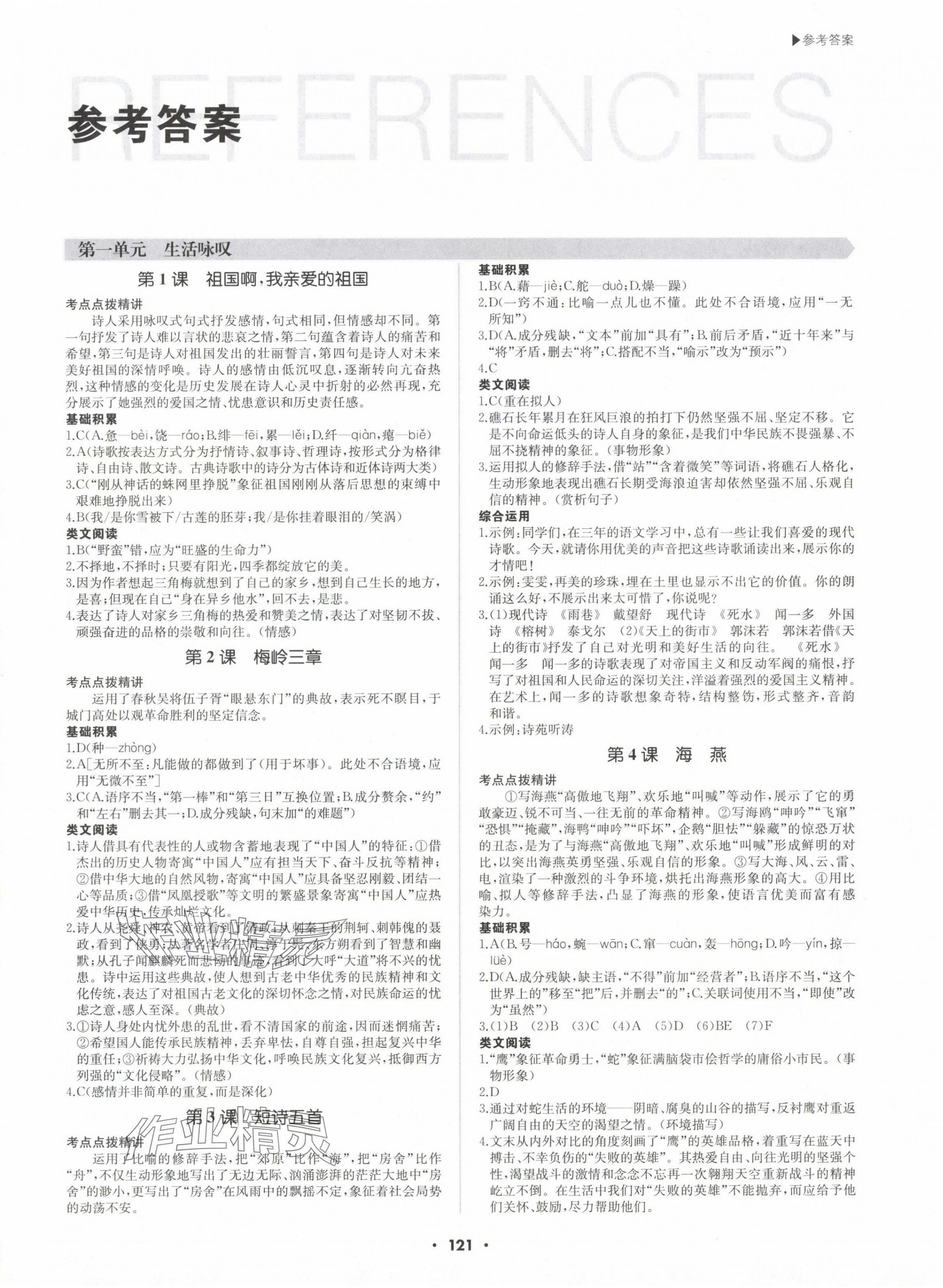 2024年超越訓(xùn)練九年級語文下冊人教版 第1頁