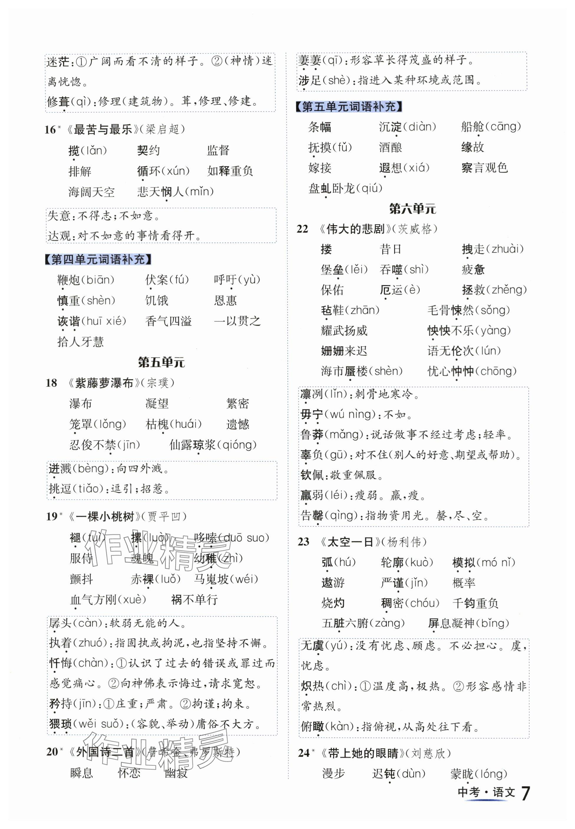 2024年國(guó)華圖書中考拐點(diǎn)語(yǔ)文南充專版 參考答案第7頁(yè)