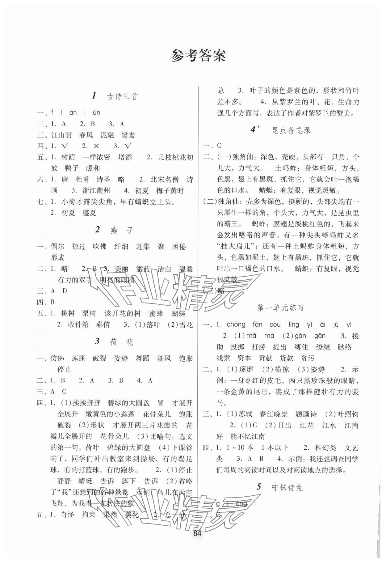 2025年課課練云南師大附小全優作業三年級語文下冊人教版 參考答案第1頁