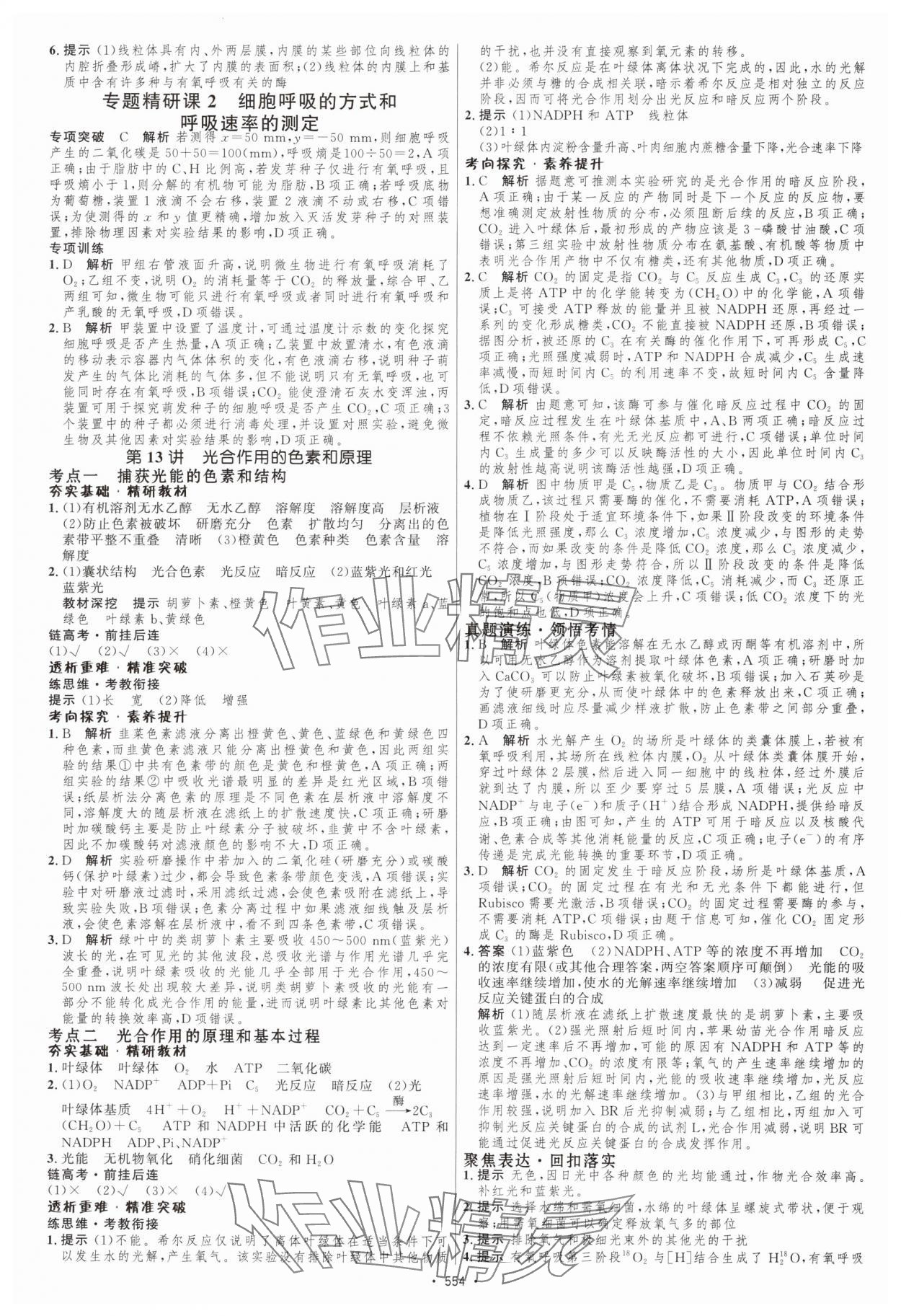 2025年高考總復(fù)習(xí)優(yōu)化設(shè)計(jì)高中生物人教版 第12頁