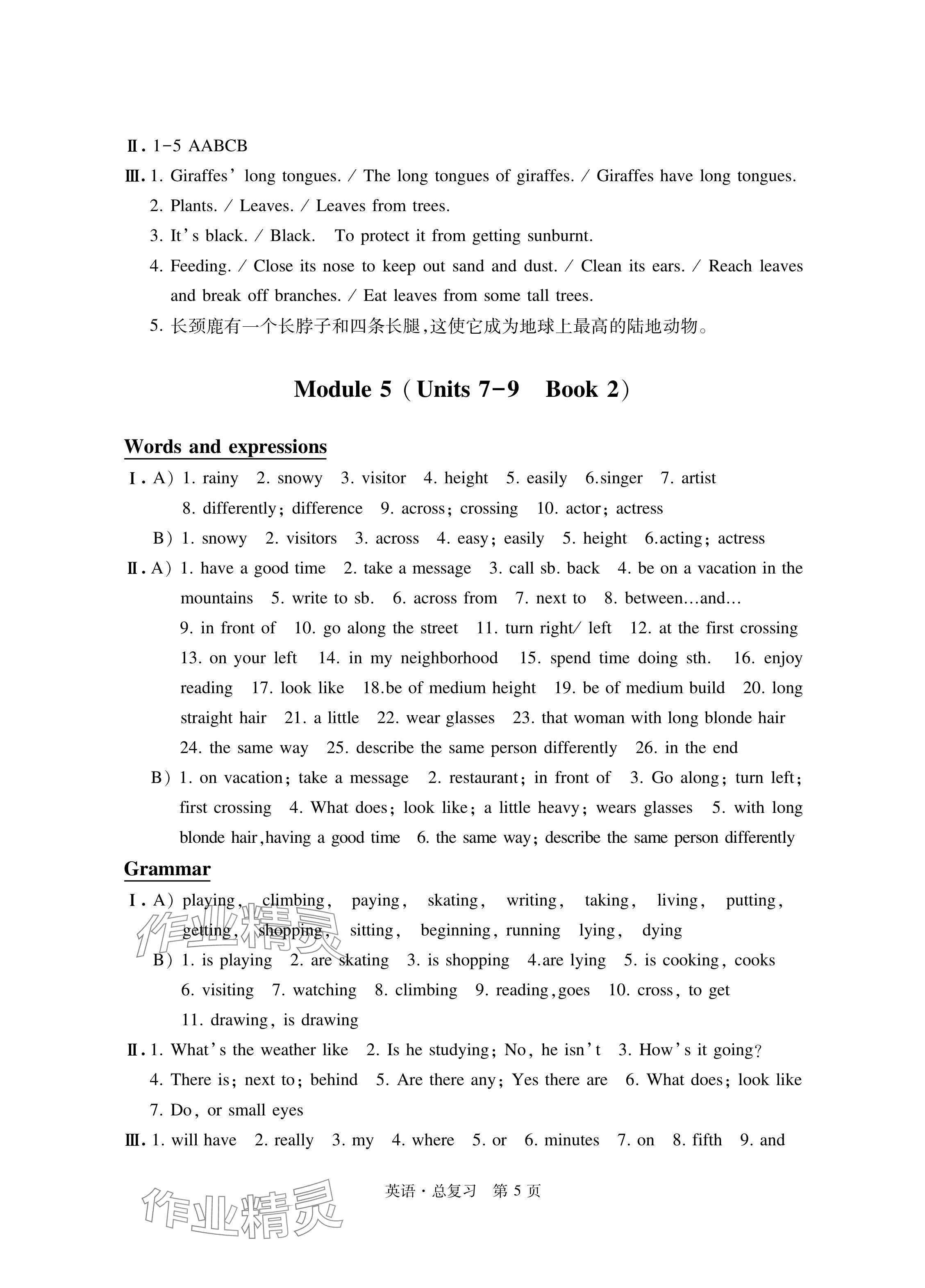 2024年自主學(xué)習(xí)指導(dǎo)課程總復(fù)習(xí)英語 參考答案第5頁