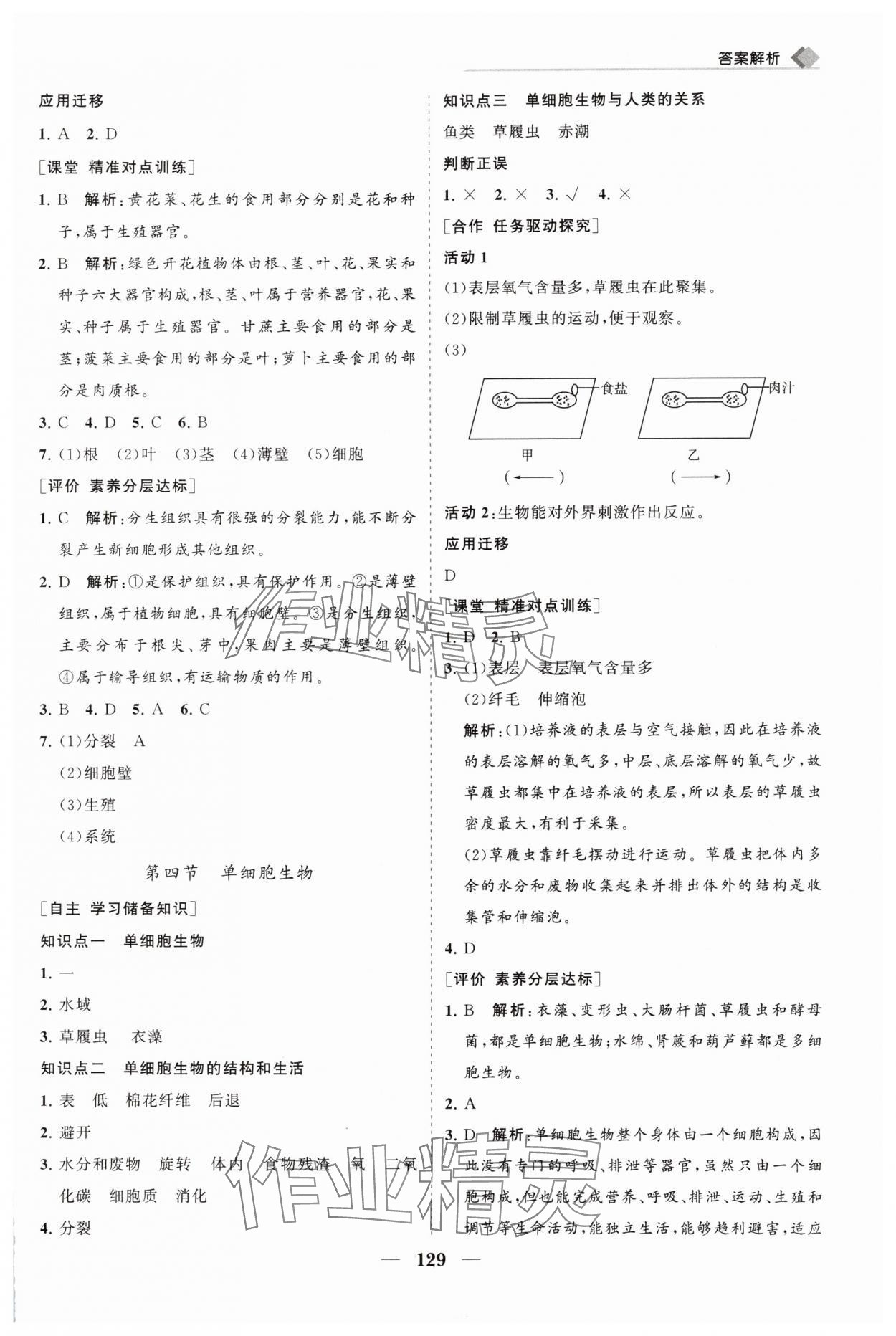 2025年新课程同步练习册七年级生物上册人教版&nbsp;第9页