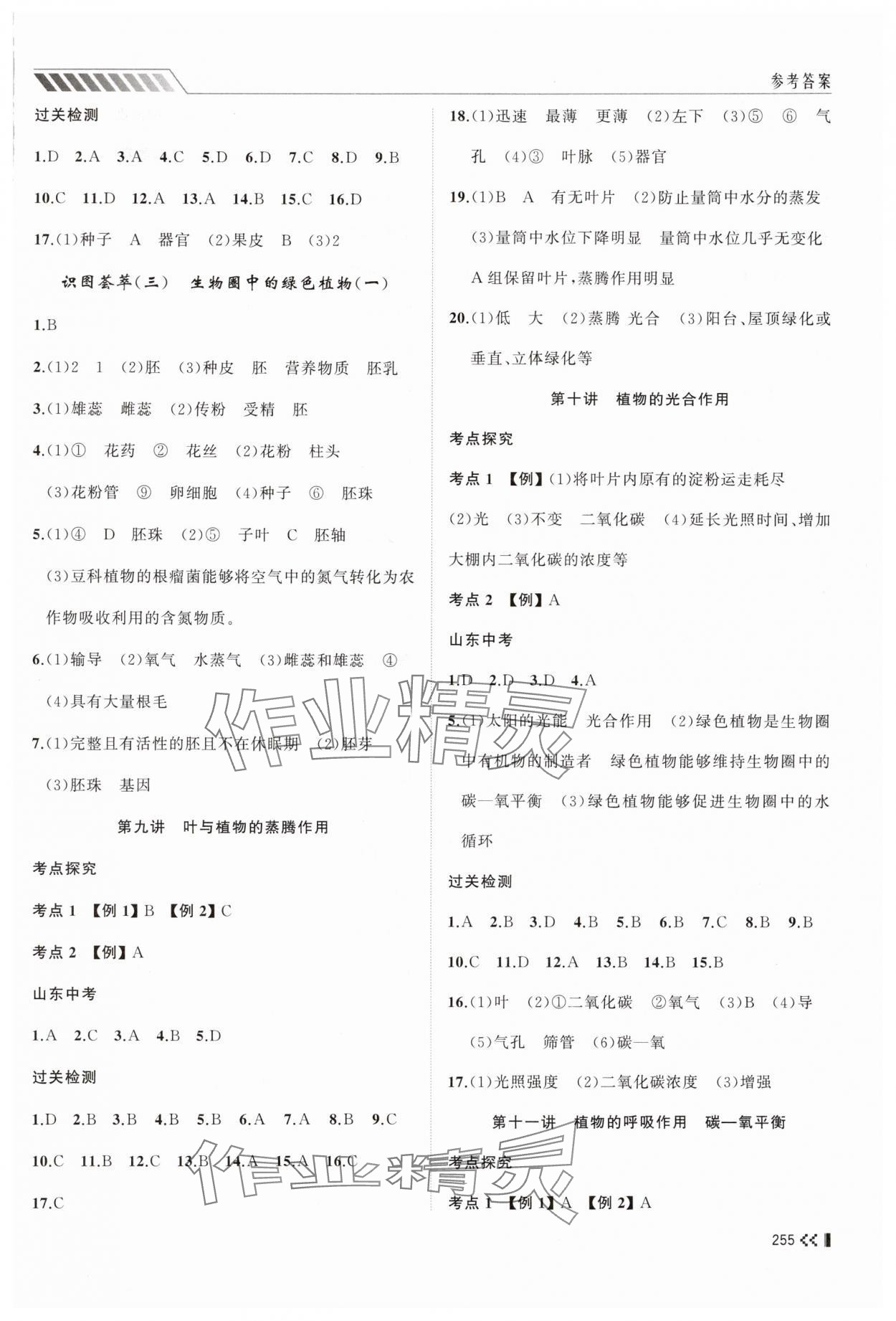 2025年初中總復習手冊山東人民出版社生物 第3頁