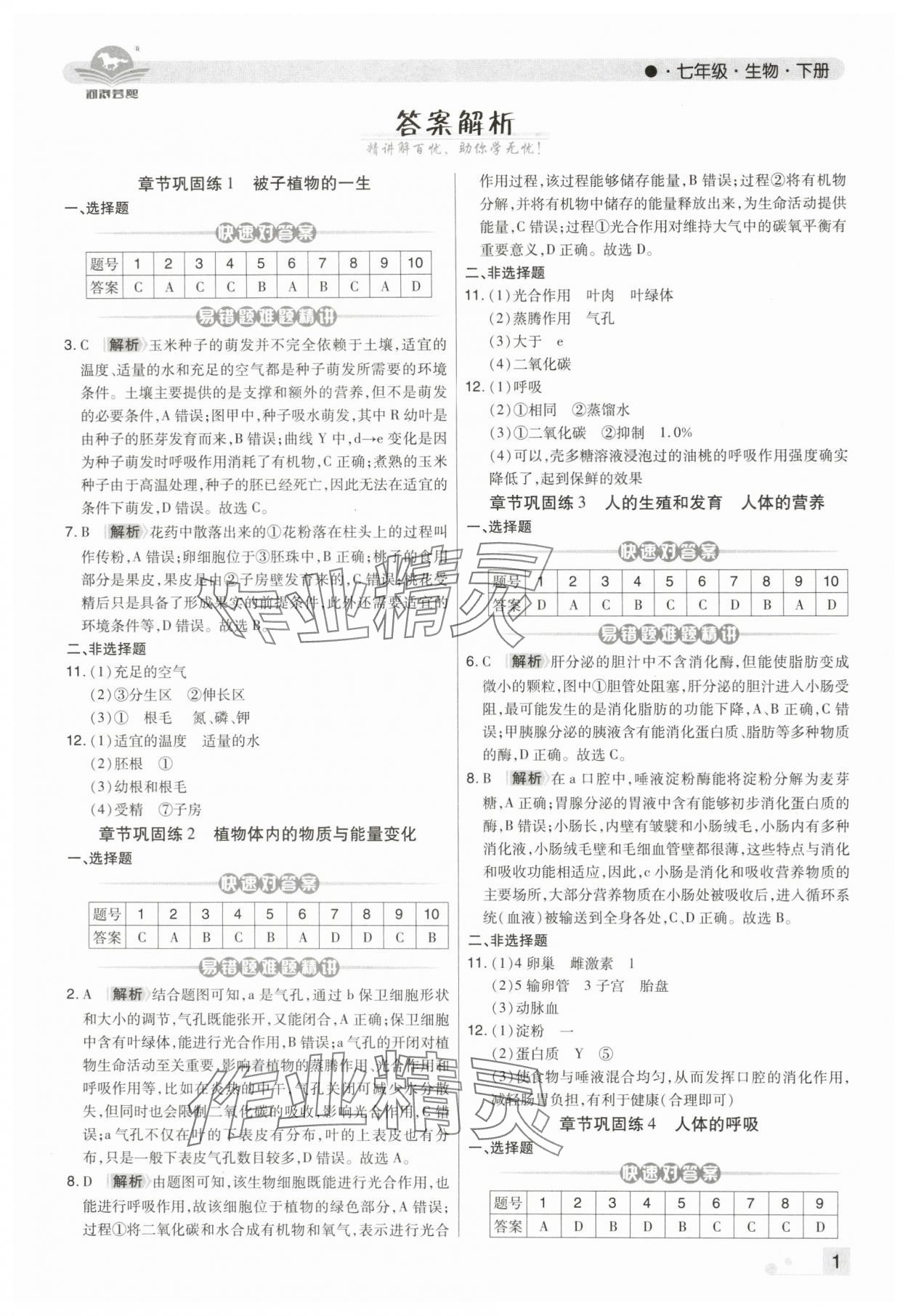 2025年期末考試必刷卷七年級生物下冊人教版河南專版 第1頁