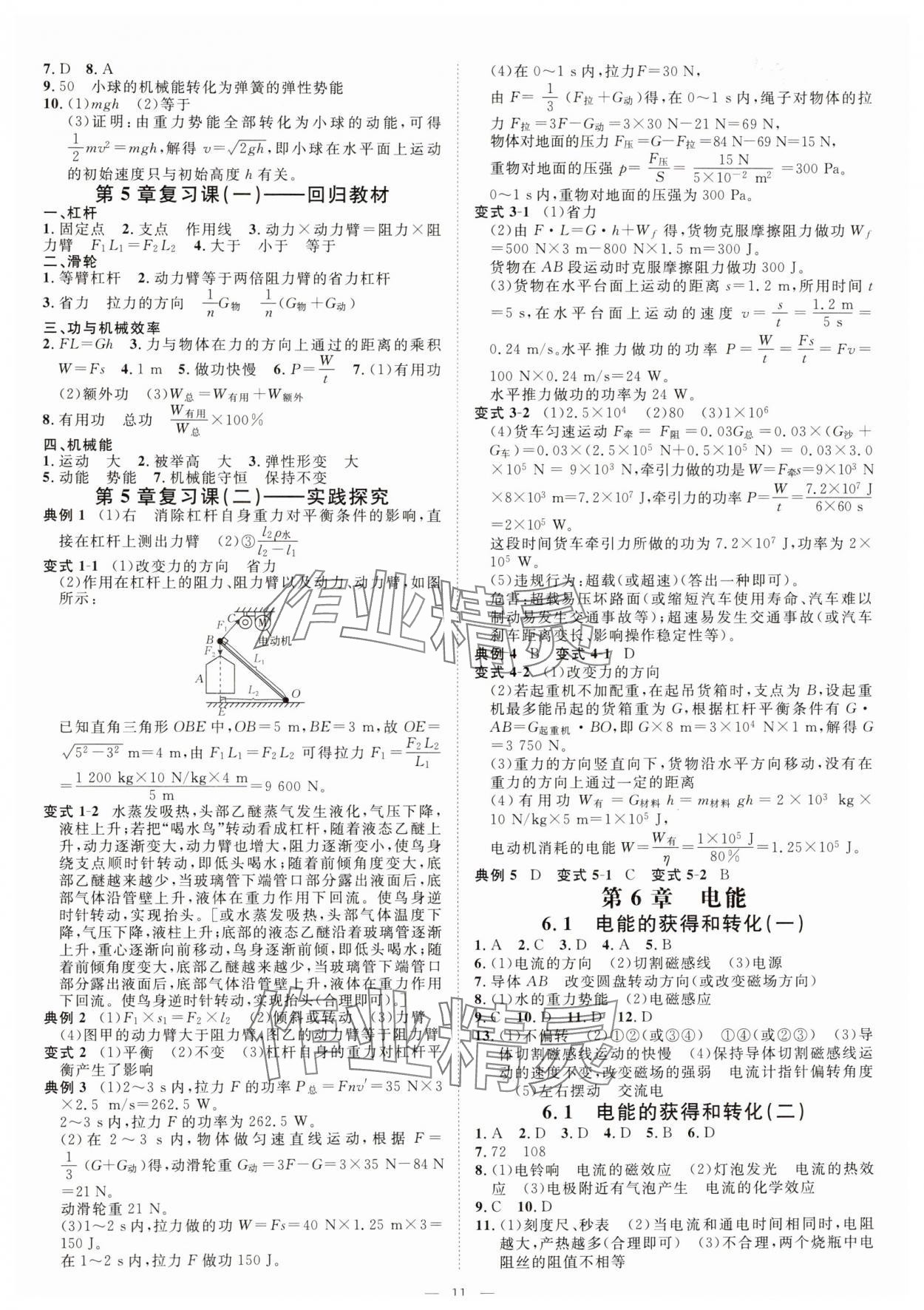 2024年全效學(xué)習(xí)九年級科學(xué)上下冊華師大版精華版 參考答案第10頁