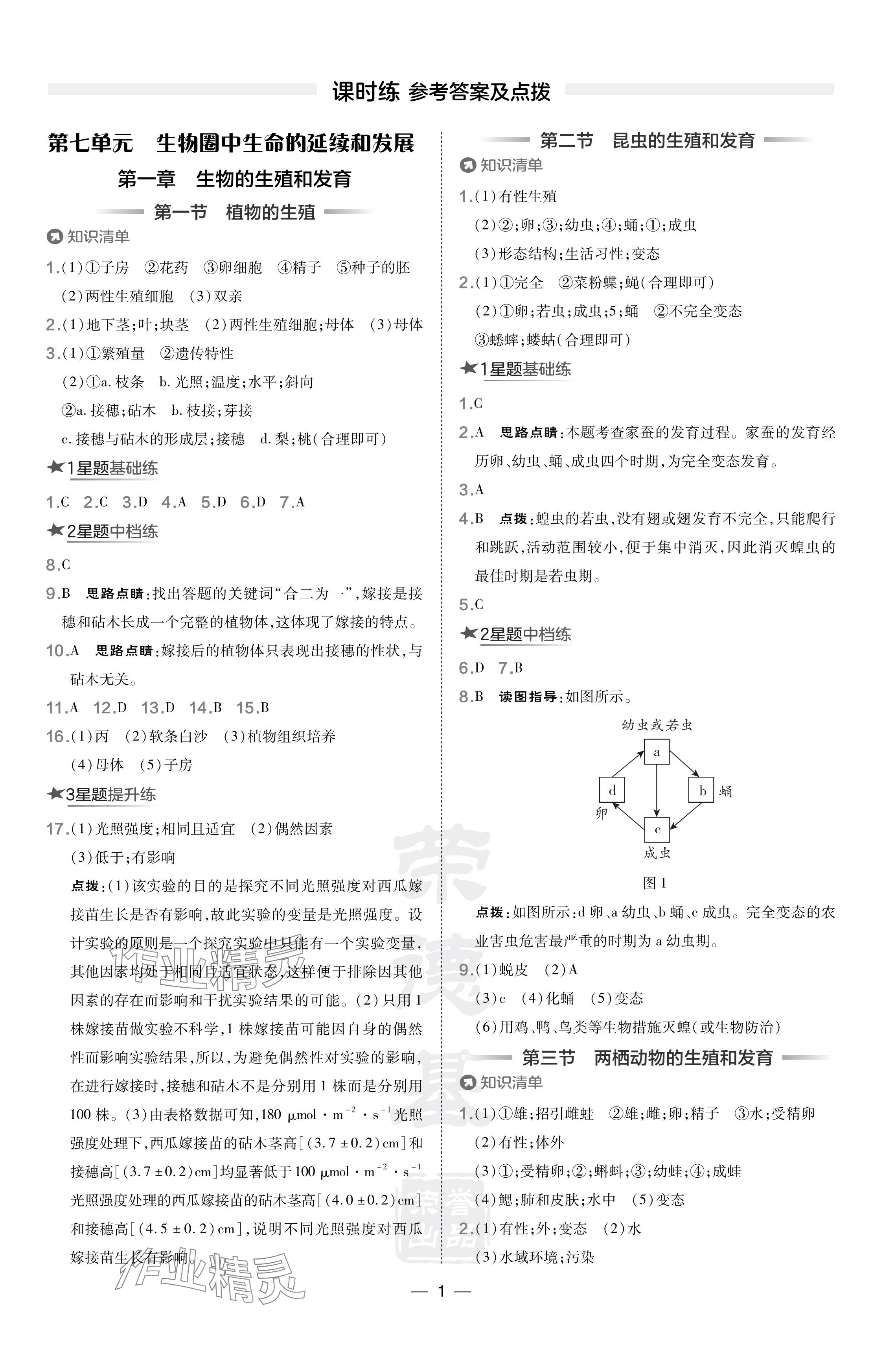 2024年点拨训练八年级生物下册人教版辽宁专版 参考答案第1页