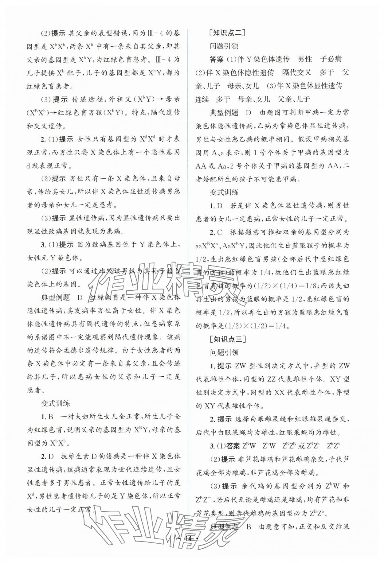 2025年高中同步測控優(yōu)化設計高中生物必修2人教版增強版 參考答案第13頁