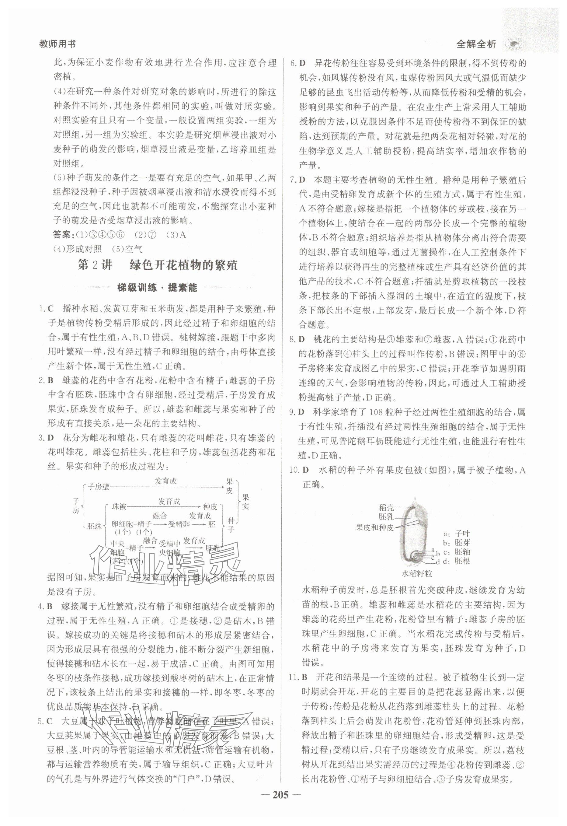 2025年世紀金榜金榜中考生物河北專版 參考答案第13頁