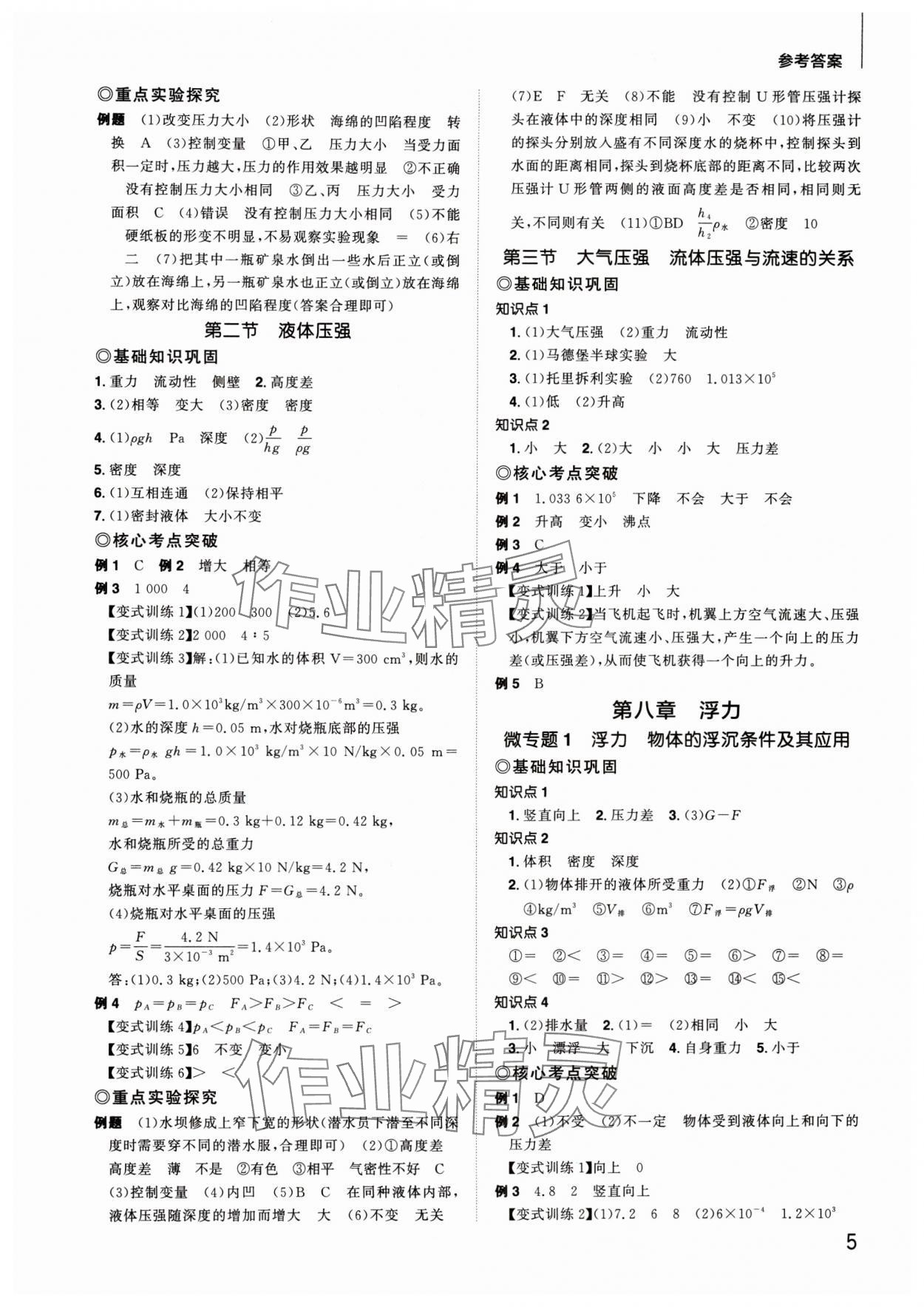 2024年陽光同學(xué)分層新中考物理福建專版 參考答案第5頁