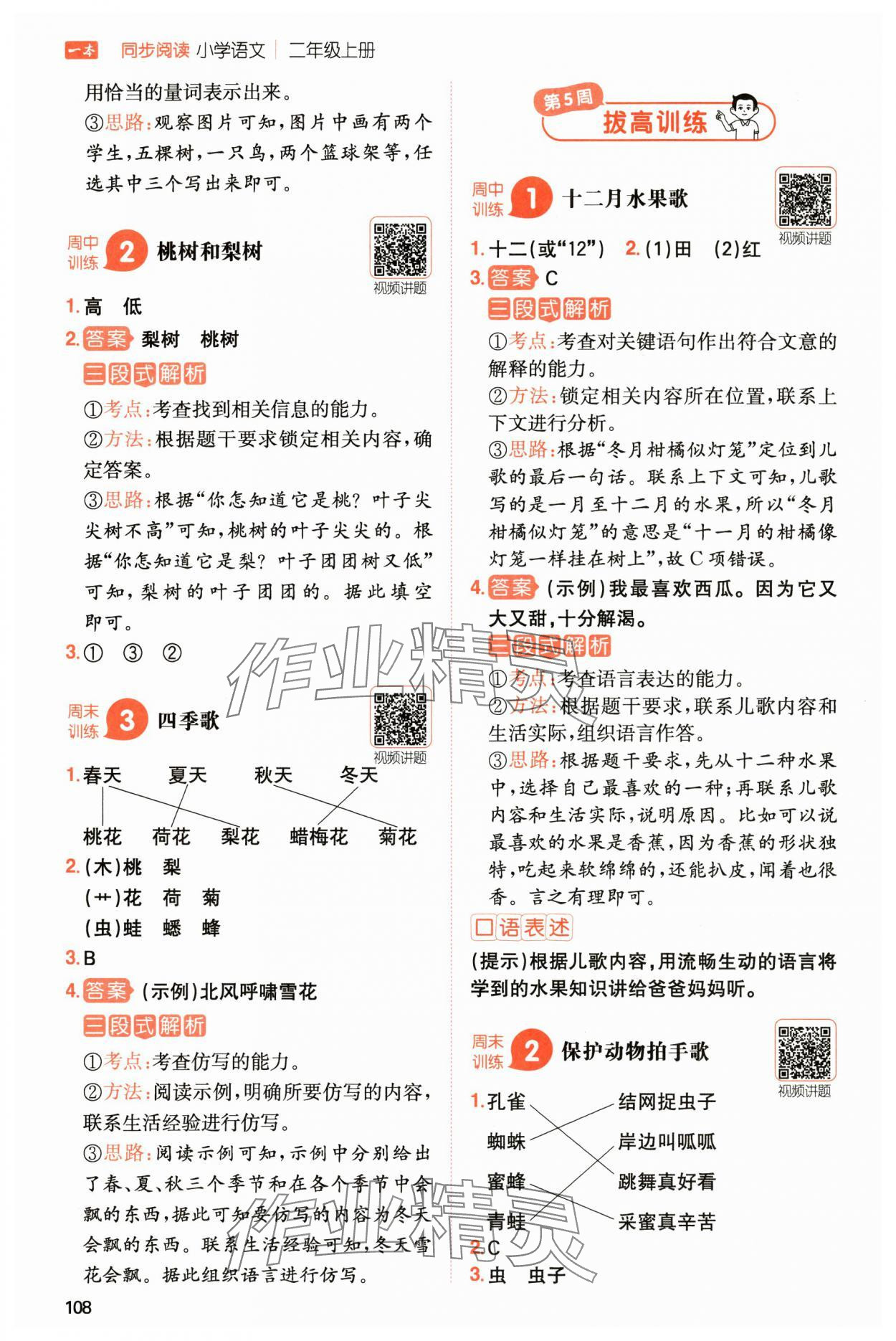 2024年一本小學(xué)語文同步閱讀二年級上冊人教版 參考答案第4頁