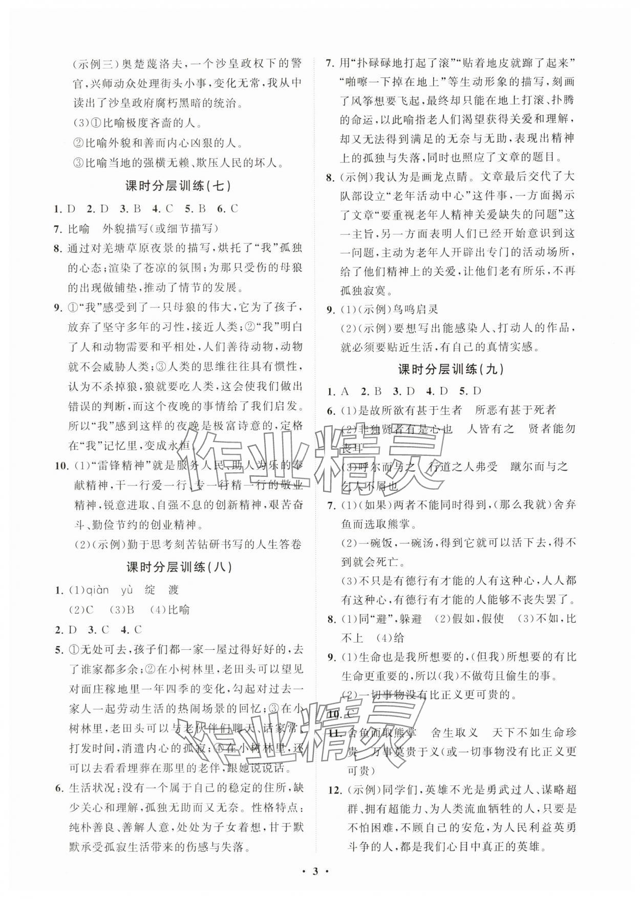 2024年同步练习册分层卷九年级语文下册人教版54制 参考答案第3页