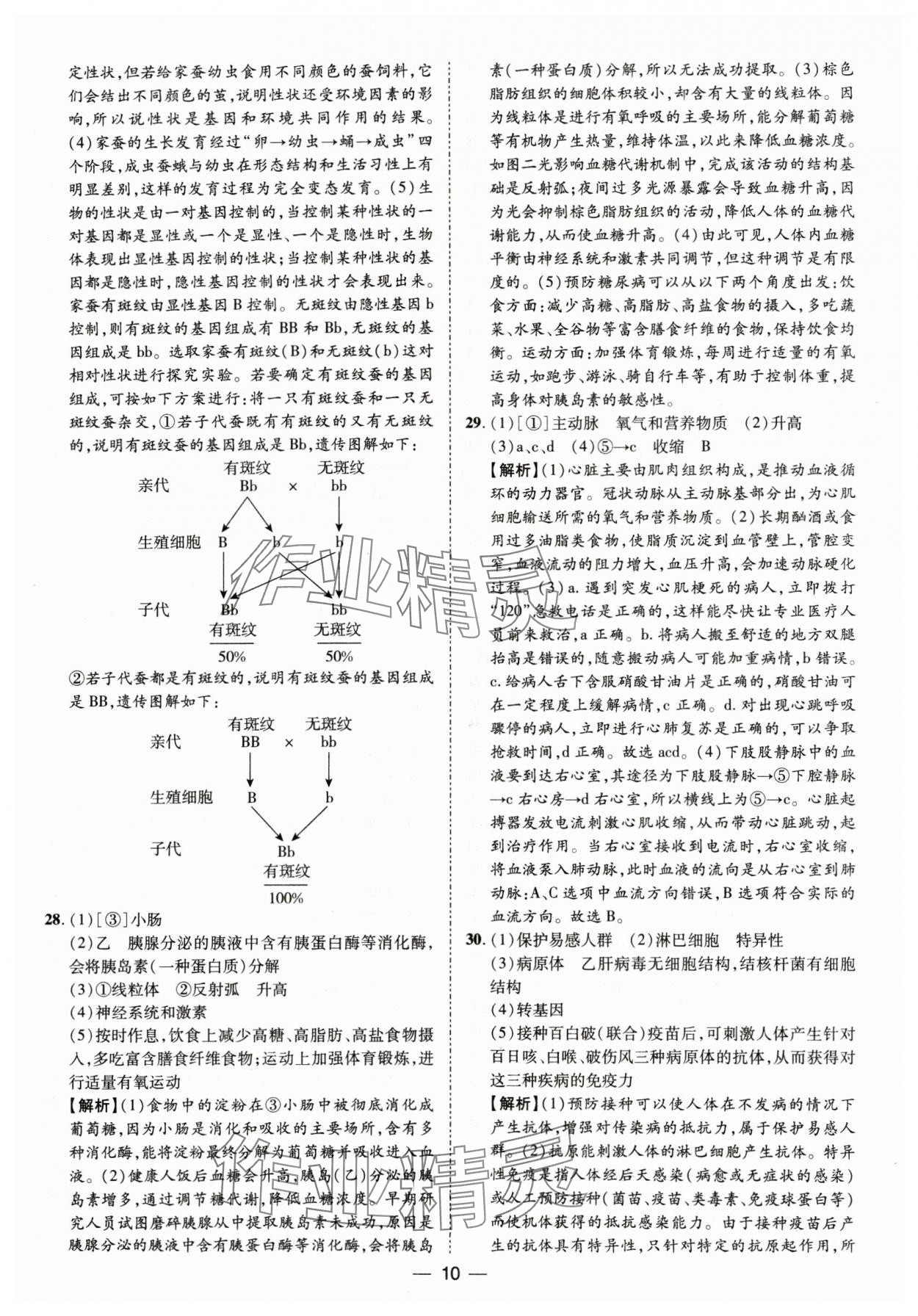 2025年鲁人泰斗中考必备中考试题汇编生物中考山东专版&nbsp;参考答案第10页