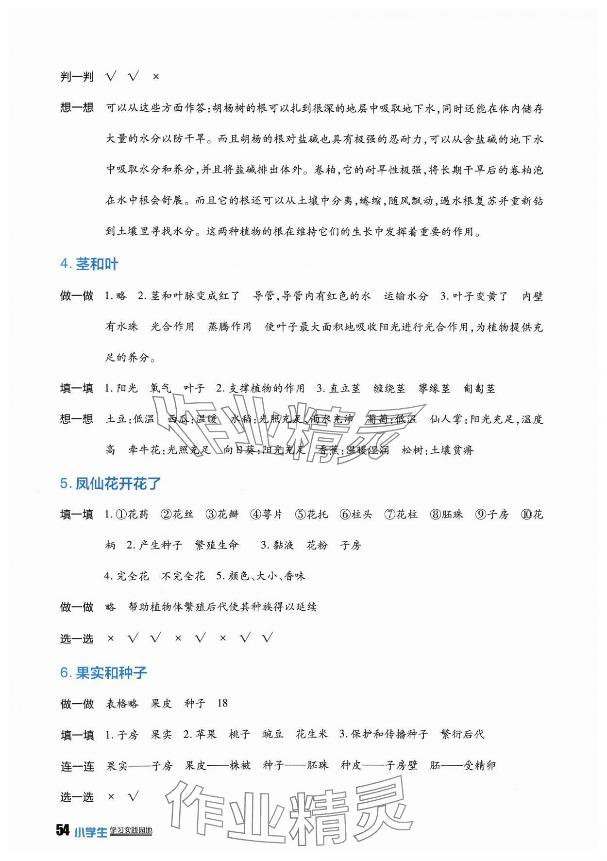 2024年學(xué)習(xí)實(shí)踐園地四年級(jí)科學(xué)下冊(cè)教科版 第2頁(yè)